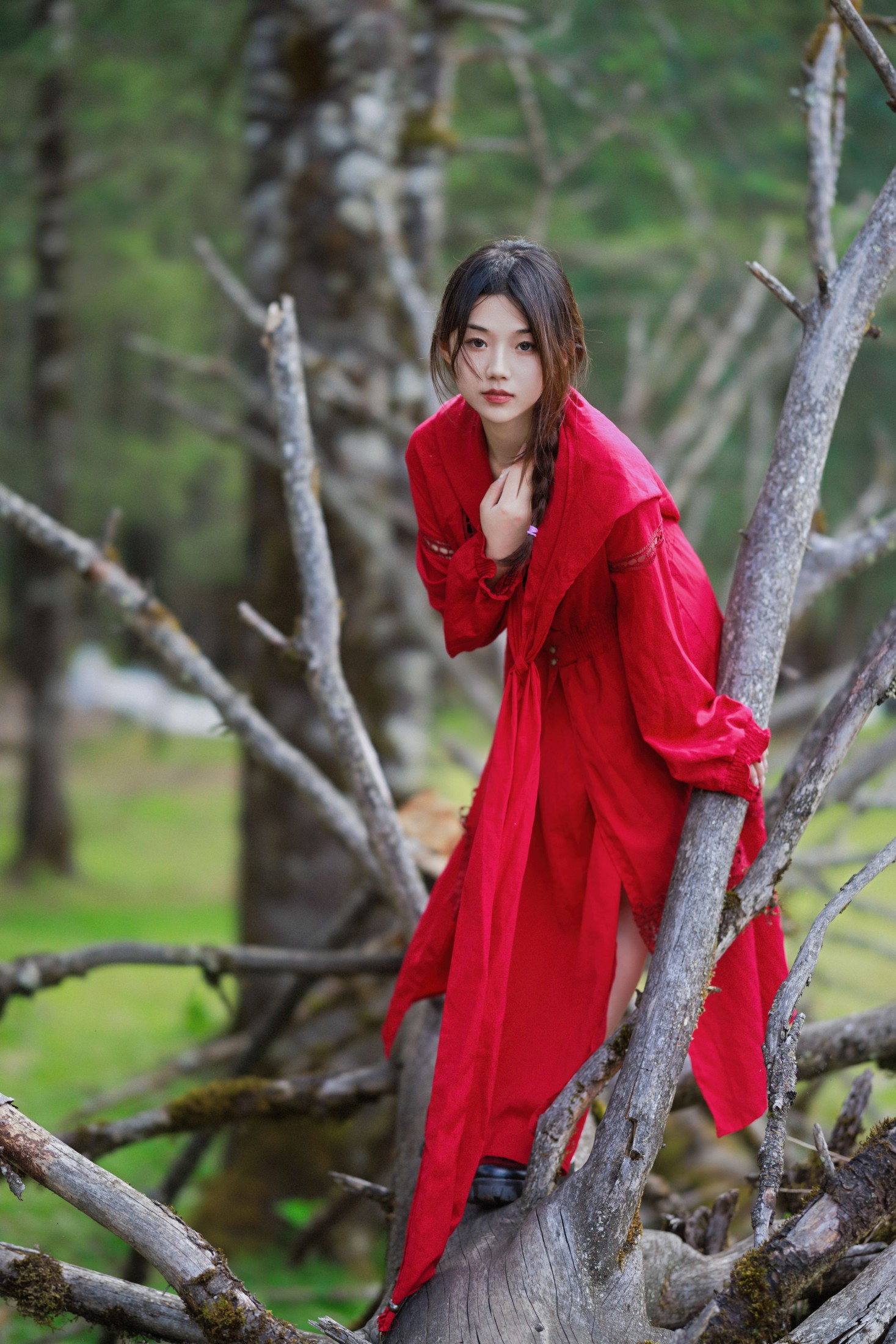 图片[8] - 裴同学 - 《异域森林》[27P] - 机器猫次元 - 机器猫次元