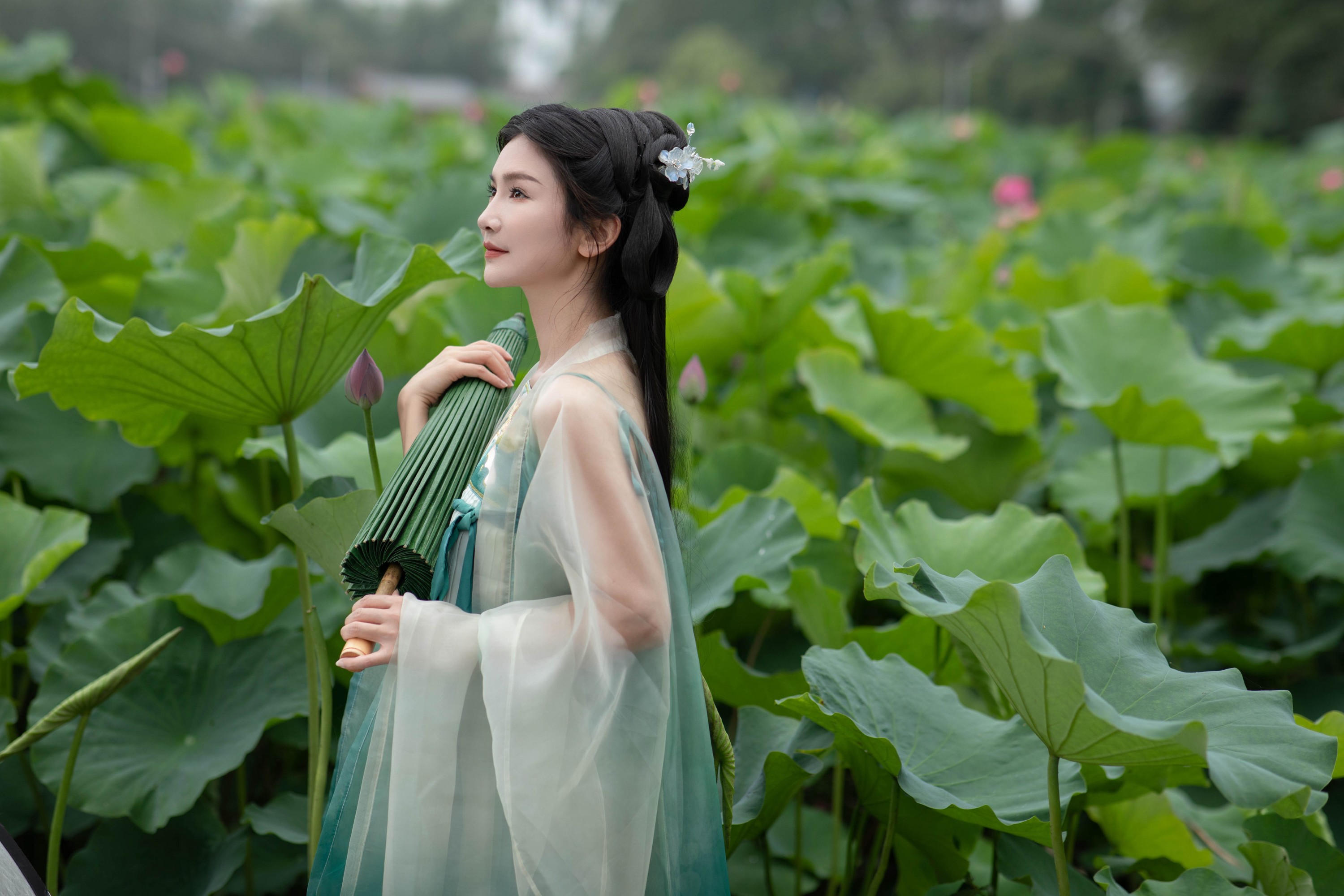 图片[4] - 纪忆 - 《赏荷》[22P] - 机器猫次元 - 机器猫次元