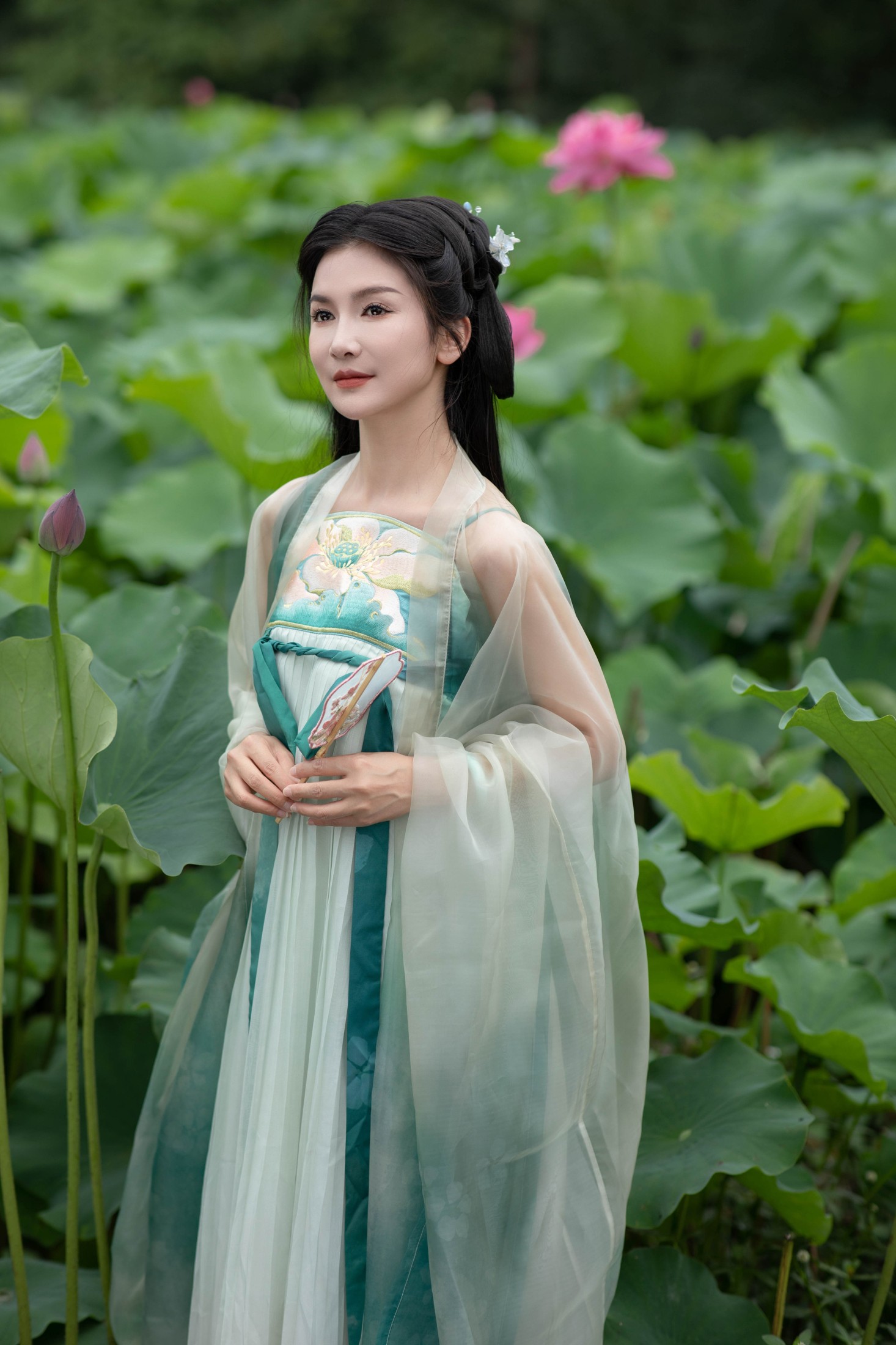 图片[3] - 纪忆 - 《赏荷》[22P] - 机器猫次元 - 机器猫次元