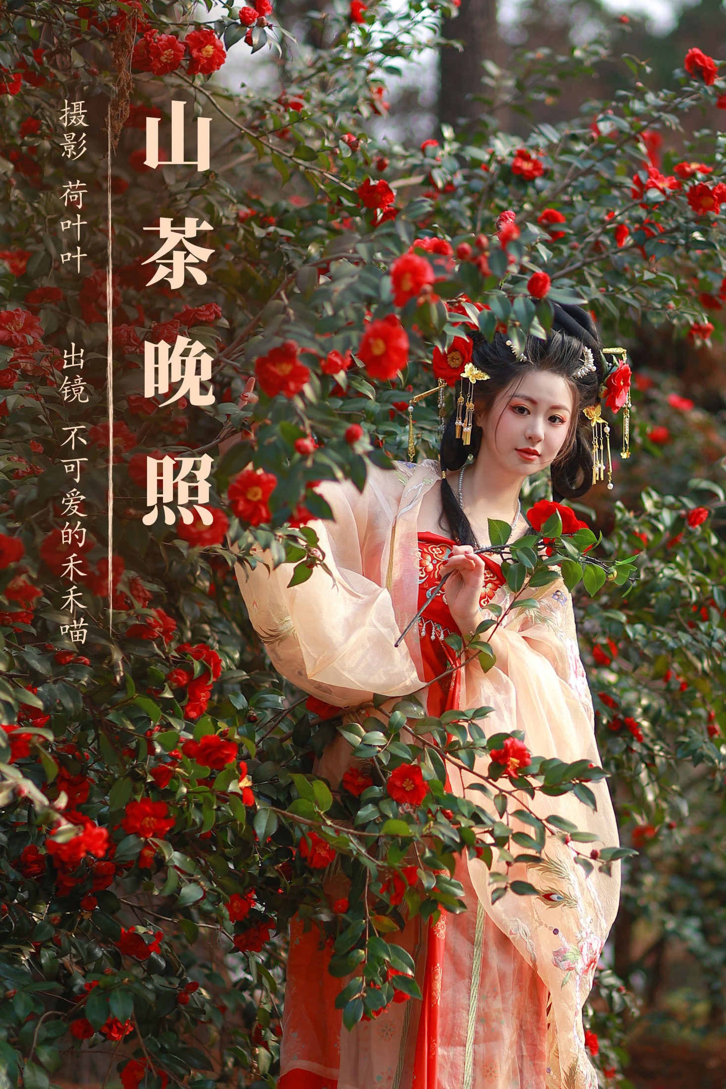 图片[1] - 不可爱的禾禾喵 - 《山茶晚照》[27P] - 机器猫次元 - 机器猫次元