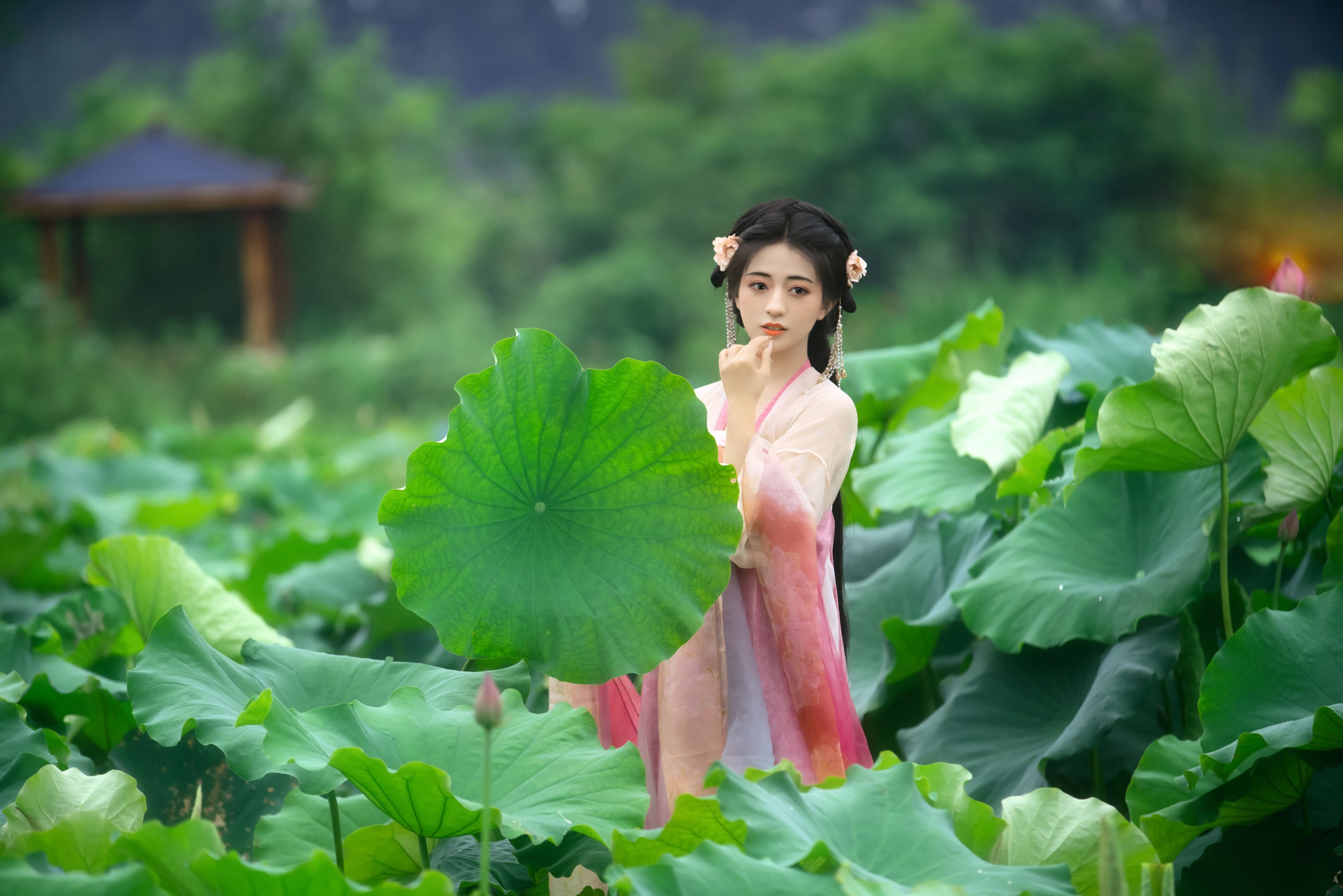 图片[6] - 晚晚 - 《采莲曲》[53P] - 机器猫次元 - 机器猫次元