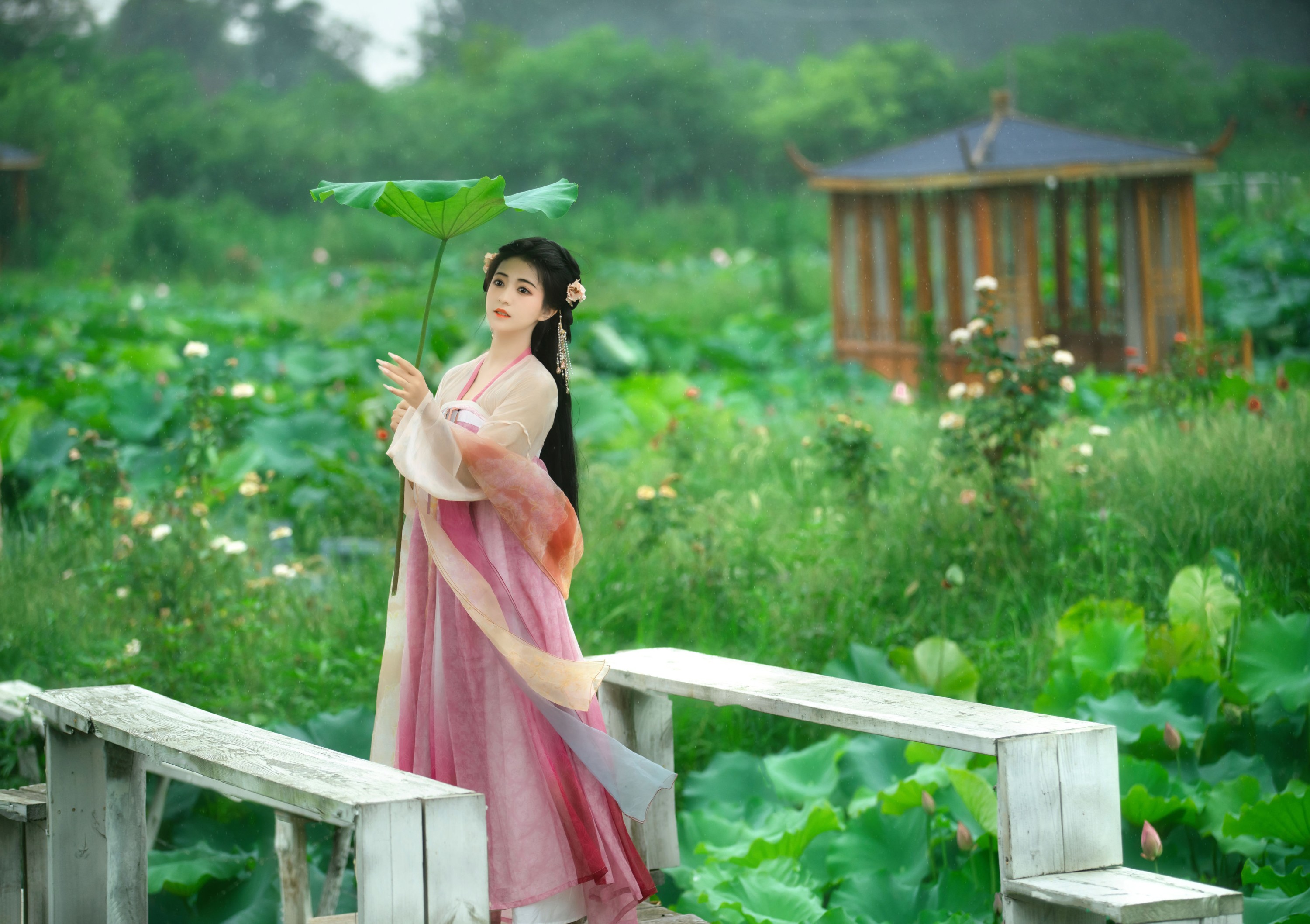 图片[5] - 晚晚 - 《采莲曲》[53P] - 机器猫次元 - 机器猫次元