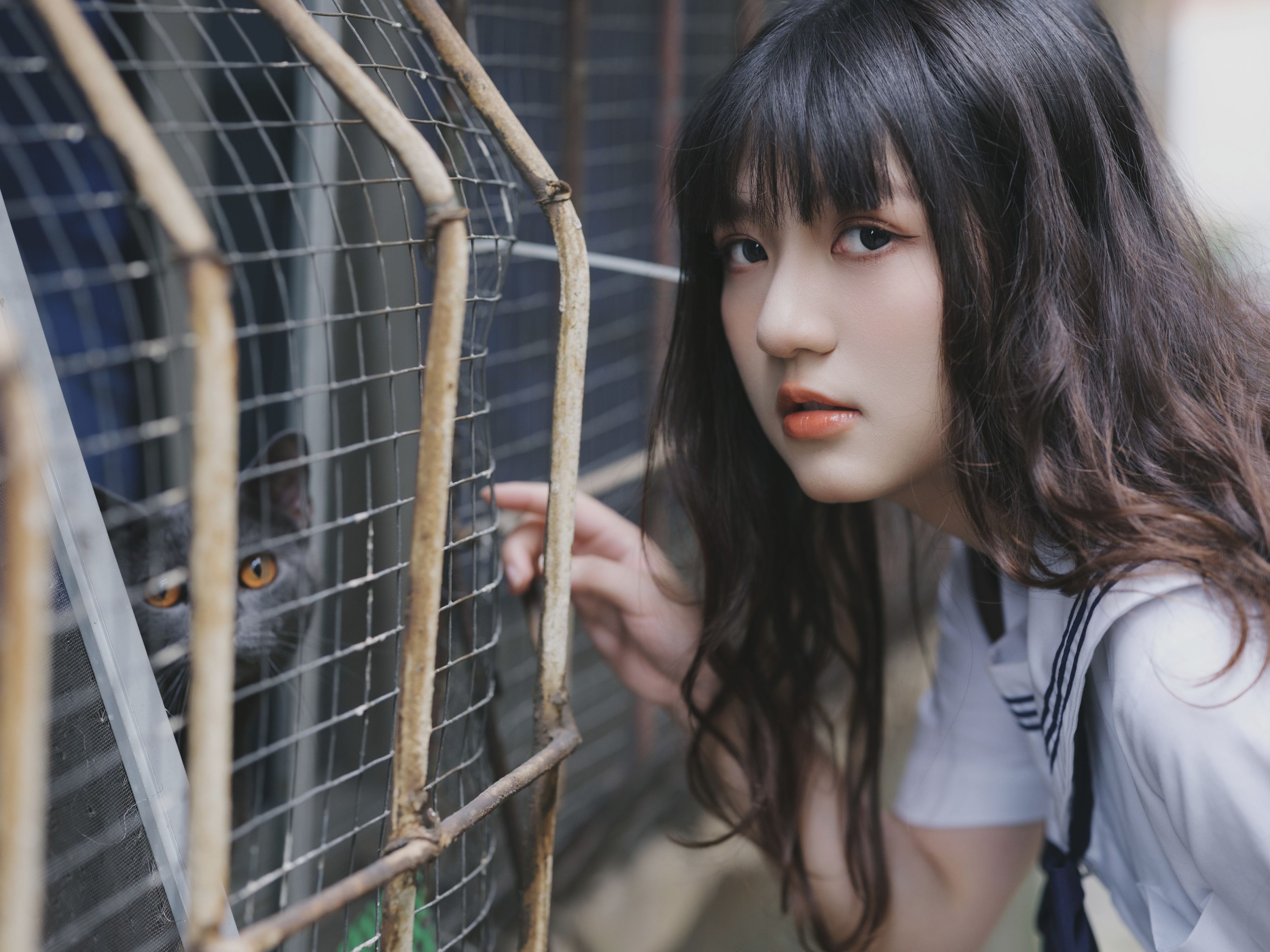 图片[7] - 我变成猪了你负责吗 - 《老街与猫》[39P] - 机器猫次元 - 机器猫次元
