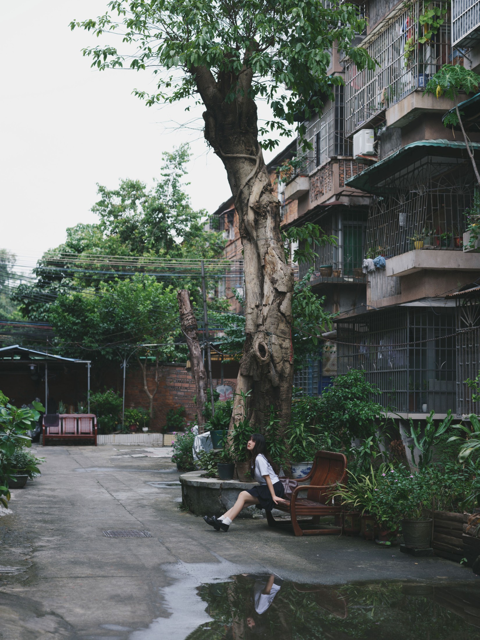 图片[4] - 我变成猪了你负责吗 - 《老街与猫》[39P] - 机器猫次元 - 机器猫次元