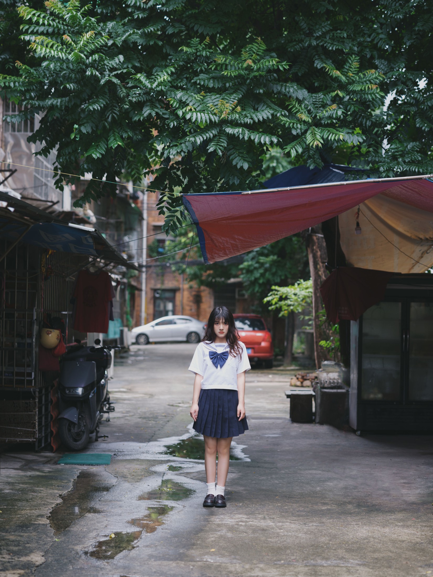图片[5] - 我变成猪了你负责吗 - 《老街与猫》[39P] - 机器猫次元 - 机器猫次元