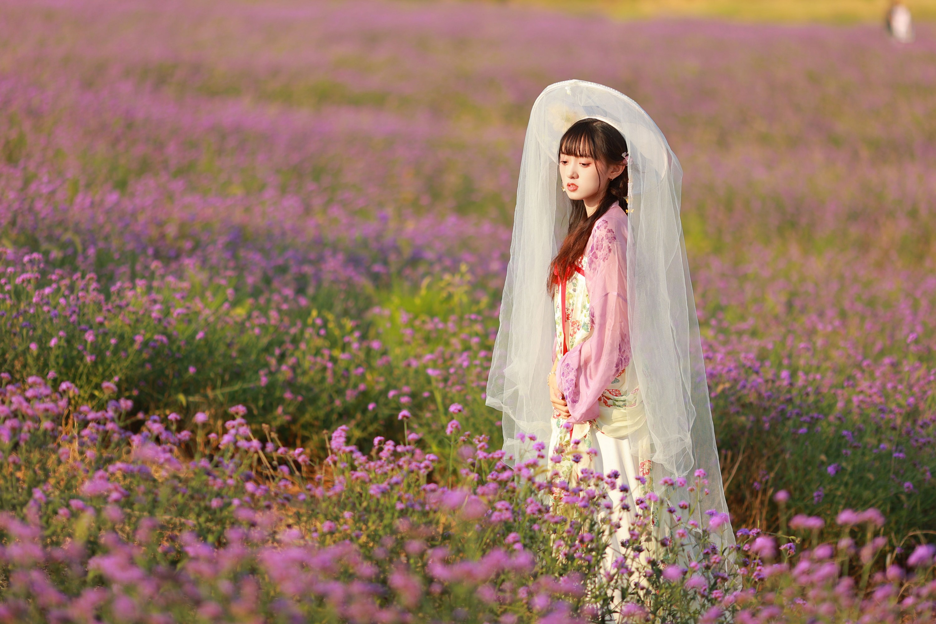 图片[6] - 锘锘吃糯米 - 《薰衣草少女》[23P] - 机器猫次元 - 机器猫次元