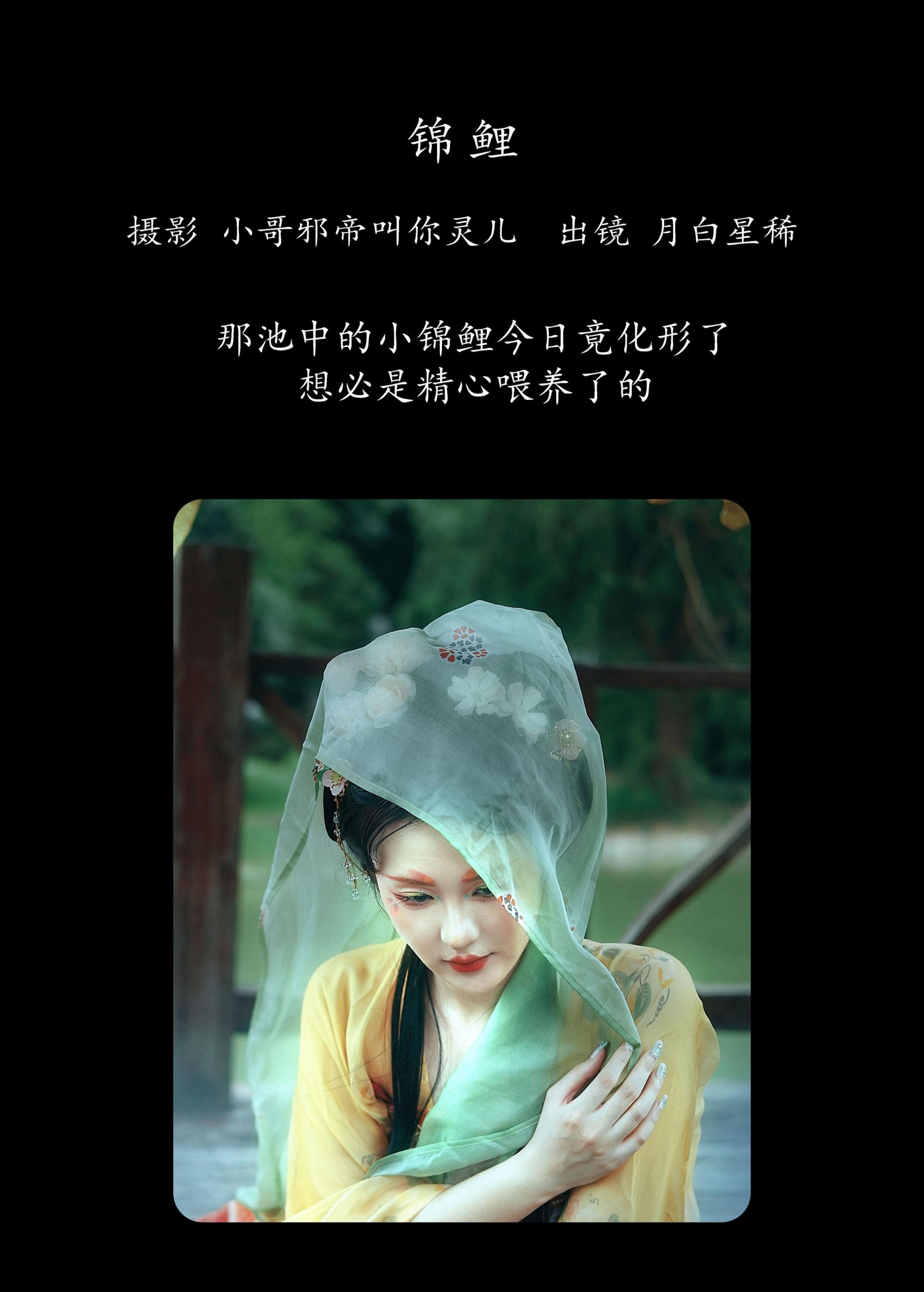 图片[2] - 月白星稀 - 《锦鲤》[22P] - 机器猫次元 - 机器猫次元
