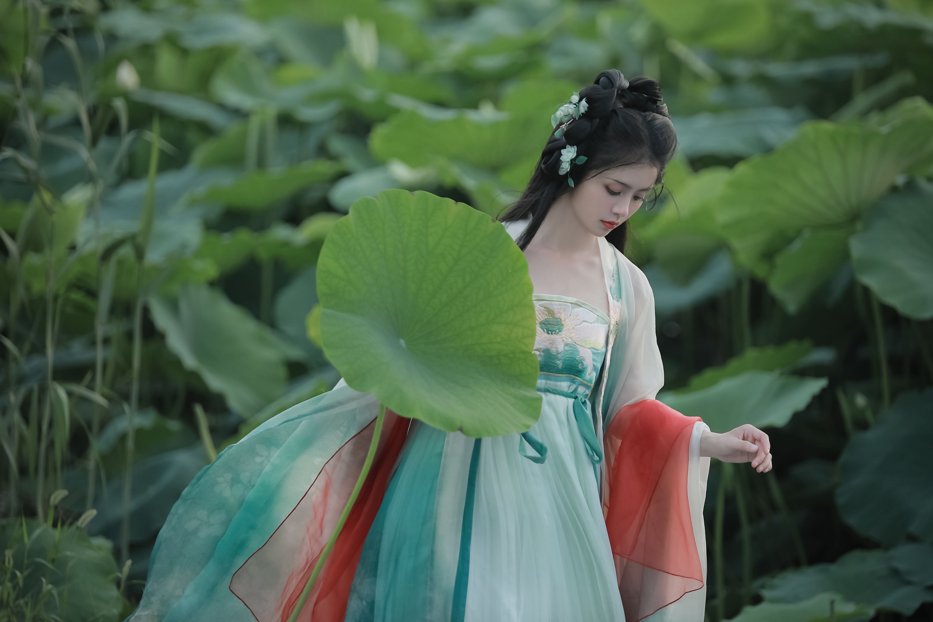 图片[4] - 何香菇 - 《忆江南》[34P] - 机器猫次元 - 机器猫次元