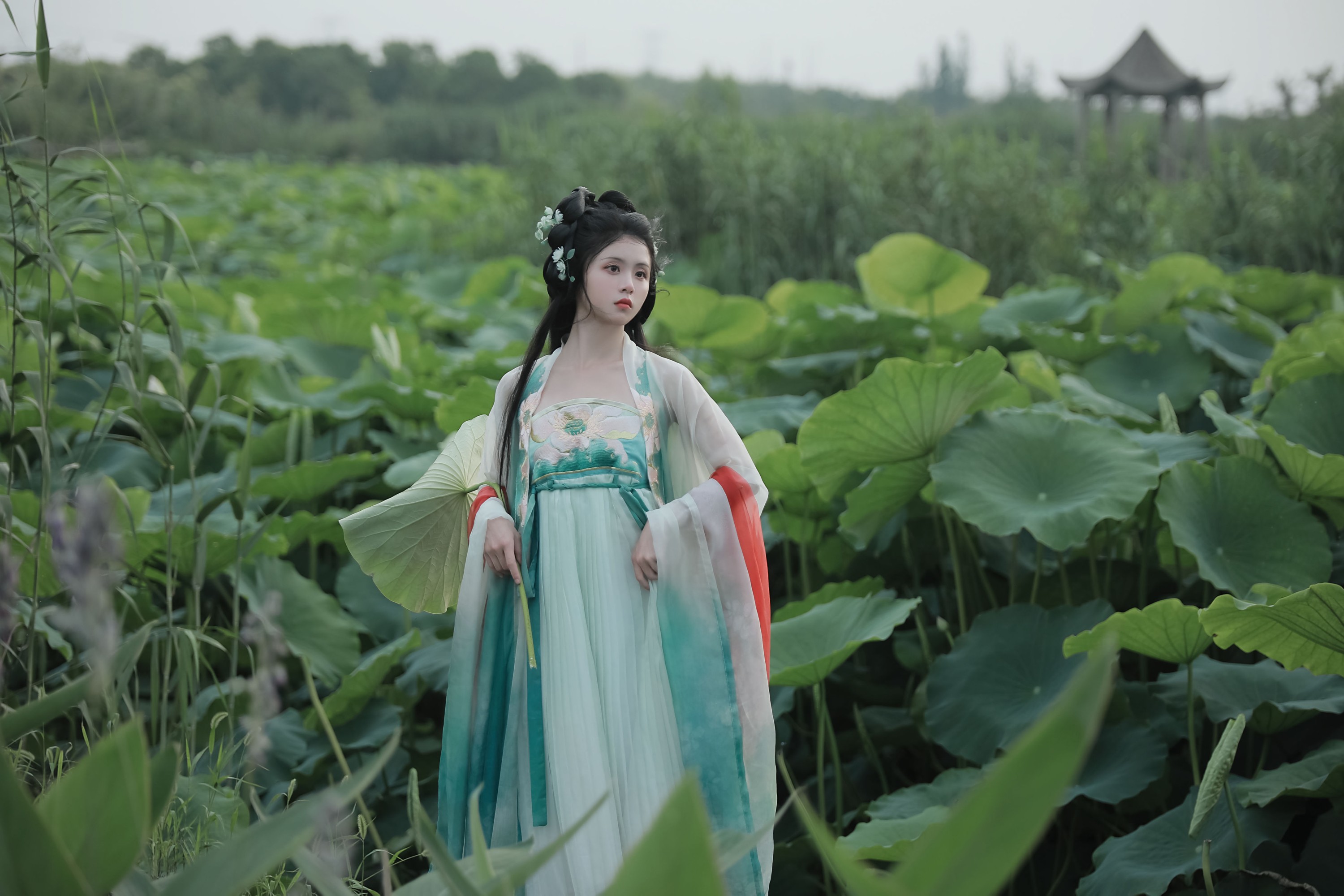 图片[3] - 何香菇 - 《忆江南》[34P] - 机器猫次元 - 机器猫次元