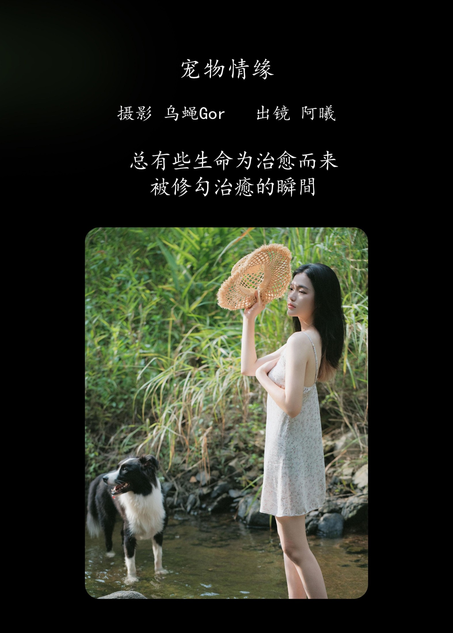 图片[2] - 阿曦 - 《宠物情缘》[37P] - 机器猫次元 - 机器猫次元
