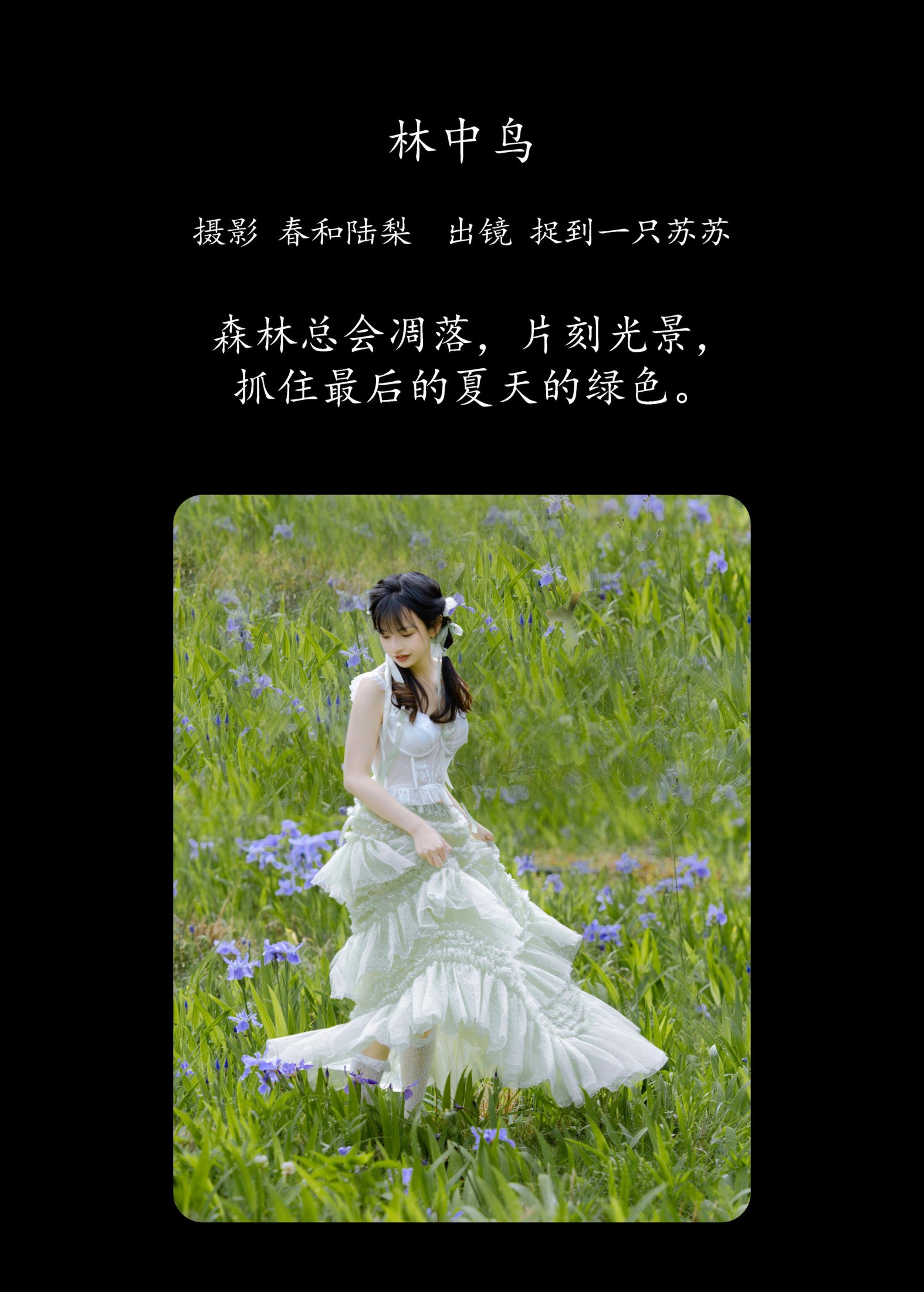 图片[2] - 捉到一只苏苏 - 《林中鸟》[21P] - 机器猫次元 - 机器猫次元
