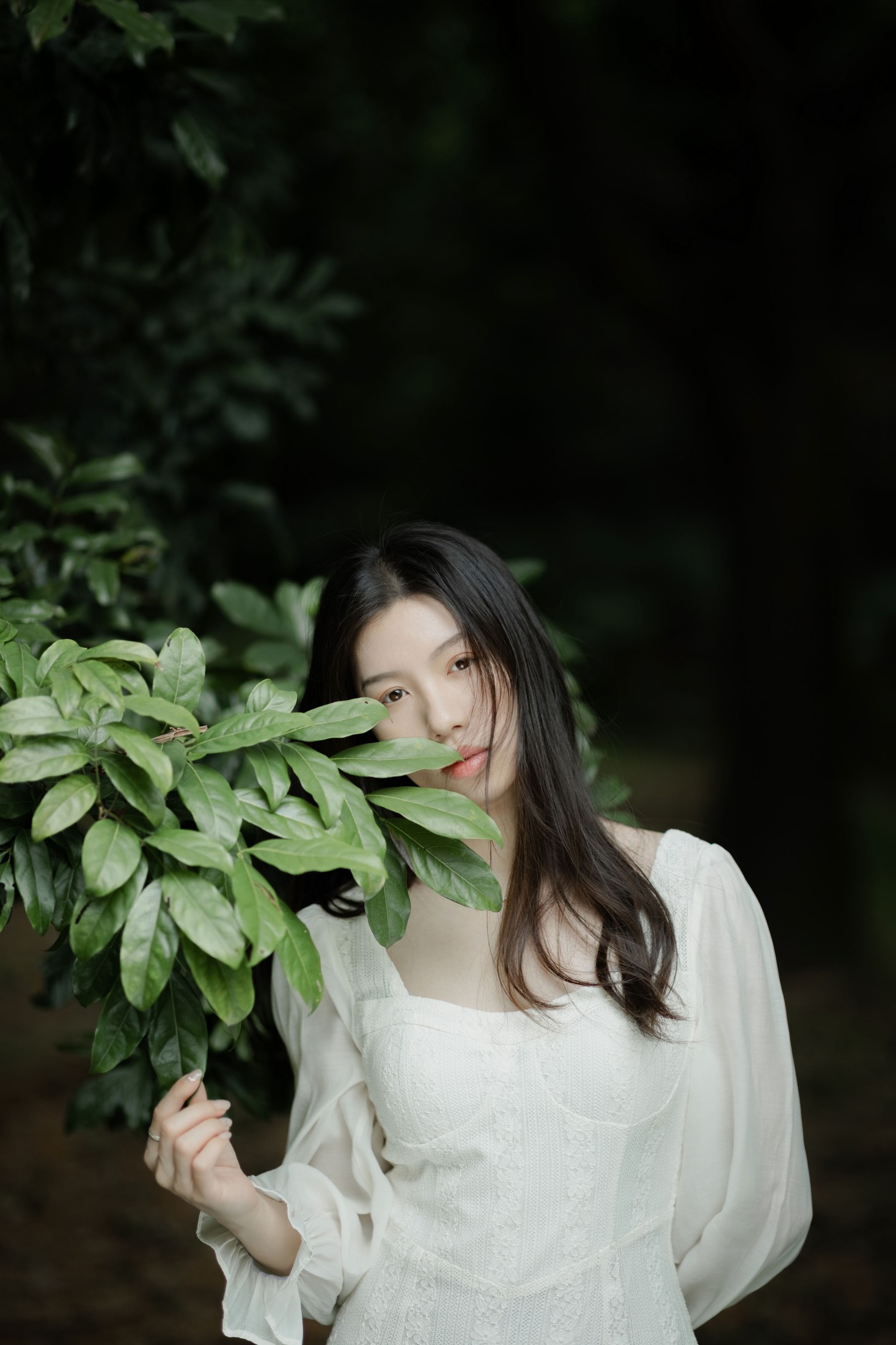 图片[8] - Cynthia - 《森之语》[24P] - 机器猫次元 - 机器猫次元