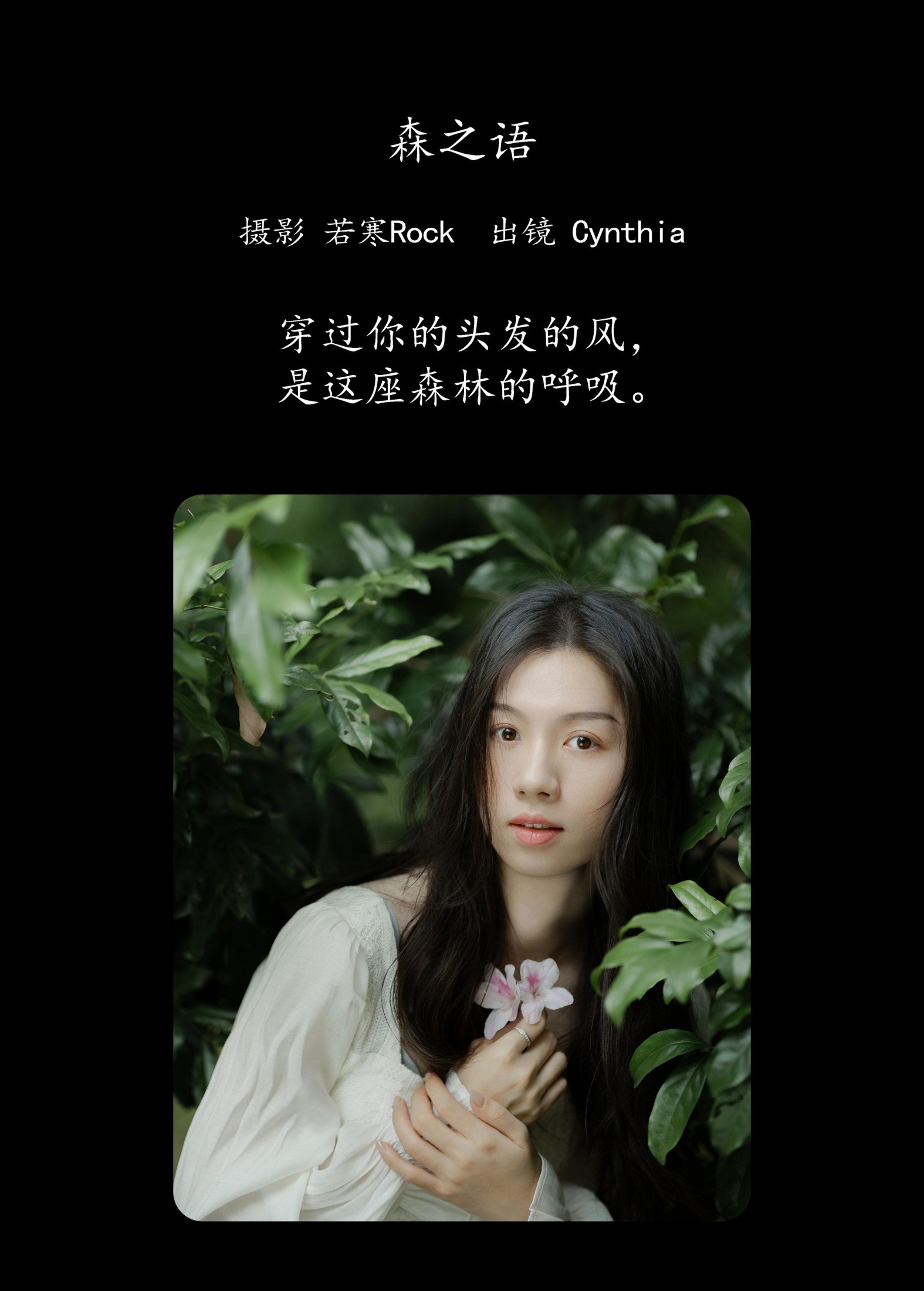 图片[2] - Cynthia - 《森之语》[24P] - 机器猫次元 - 机器猫次元