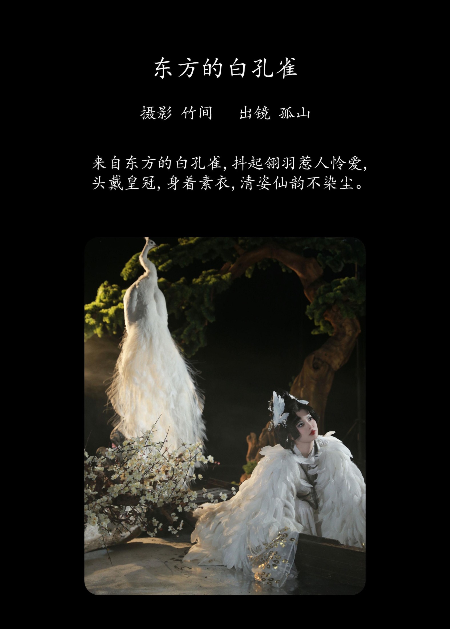 图片[2] - 遇孤山 - 《东方的白孔雀》[30P] - 机器猫次元 - 机器猫次元