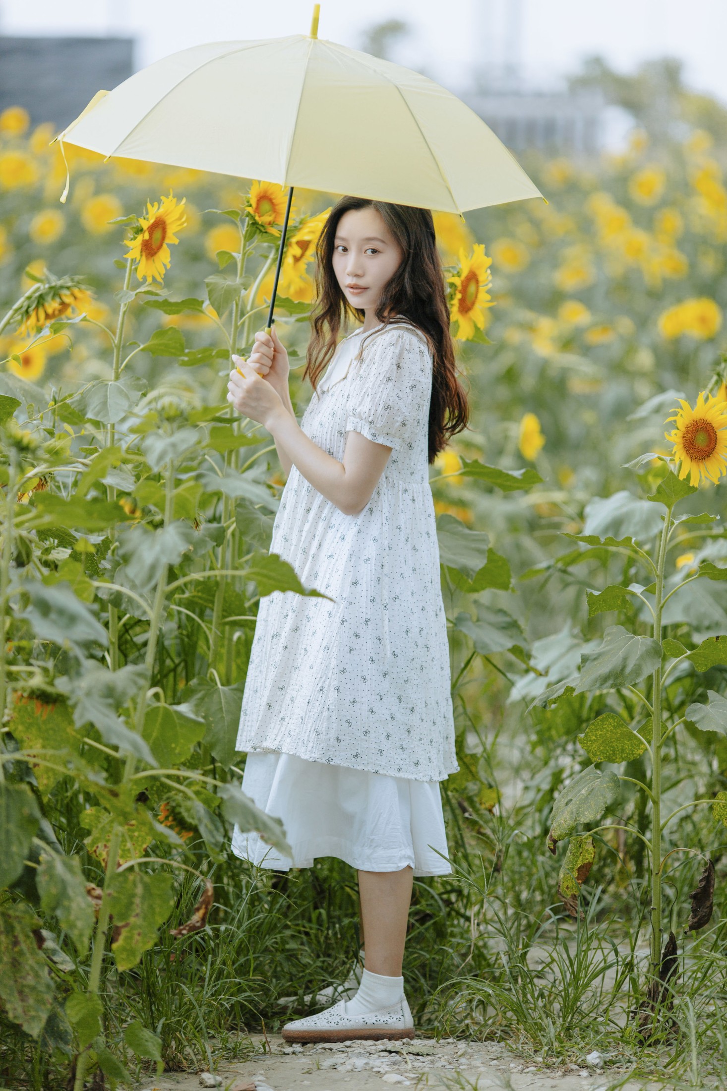 图片[4] - 绿豆 - 《打碎了一片艳阳》[24P] - 机器猫次元 - 机器猫次元
