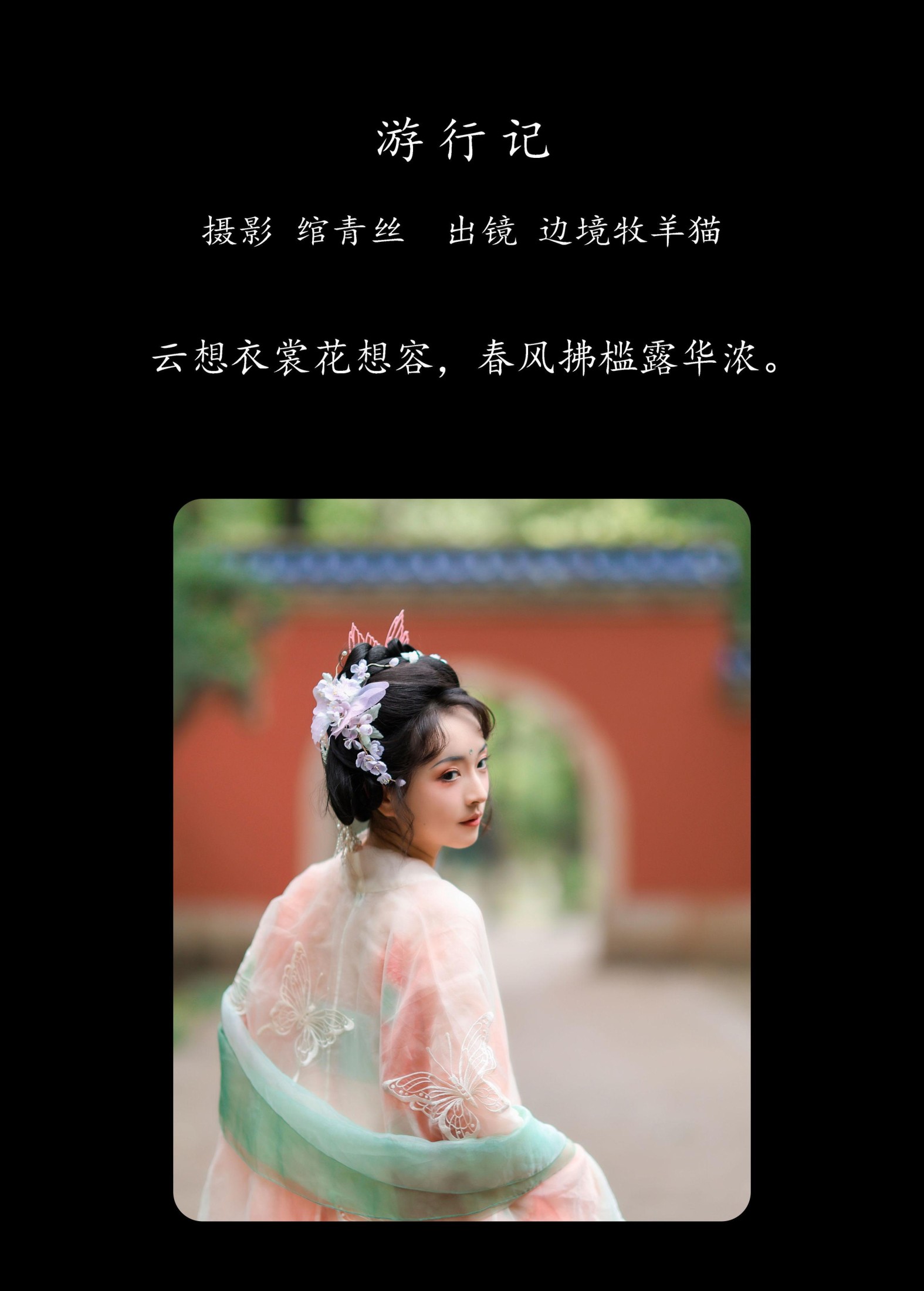 图片[2] - 边境牧羊猫 - 《游行记》[21P] - 机器猫次元 - 机器猫次元