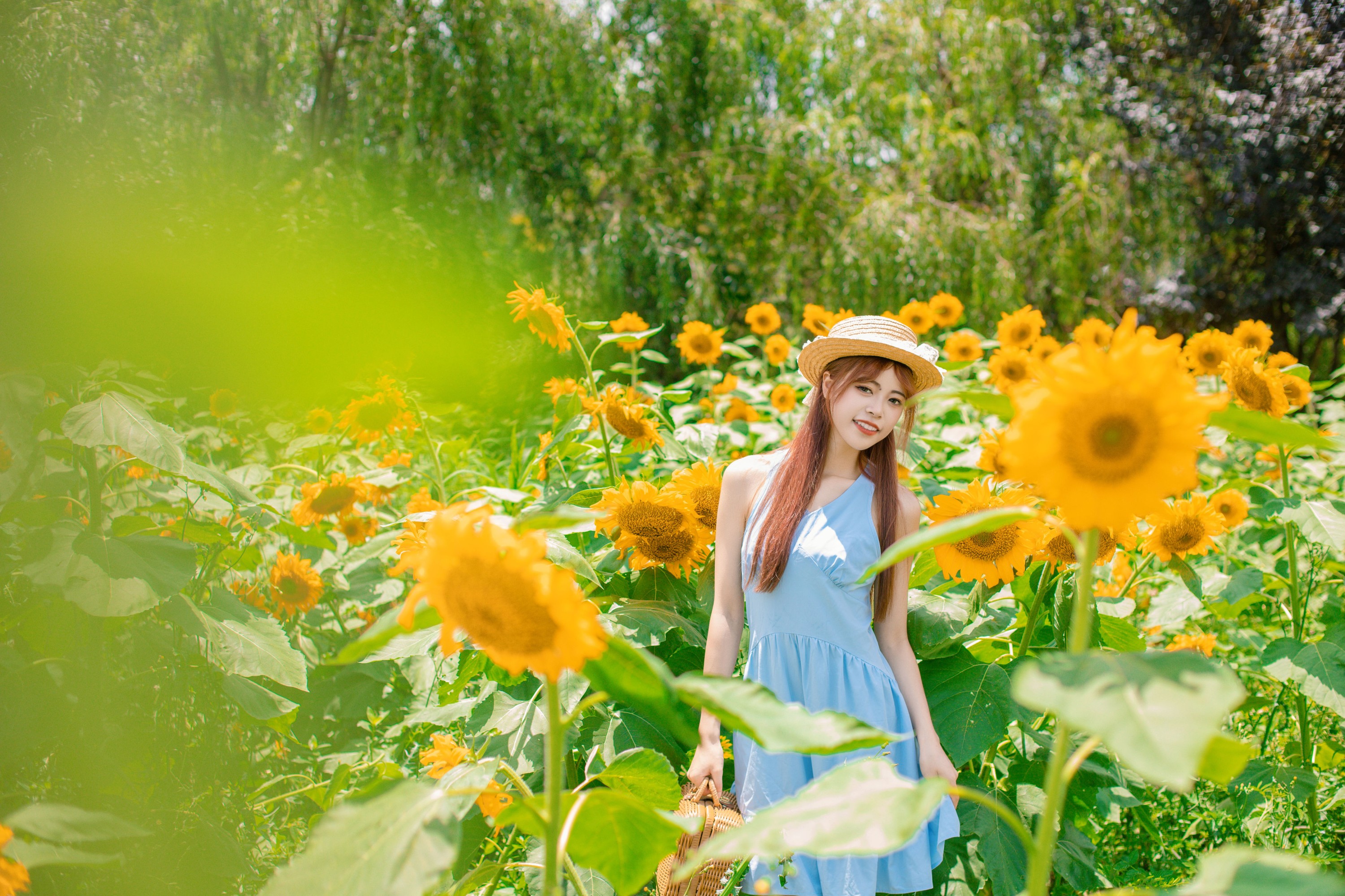 图片[8] - suo锁 - 《向日葵的微笑》[27P] - 机器猫次元 - 机器猫次元