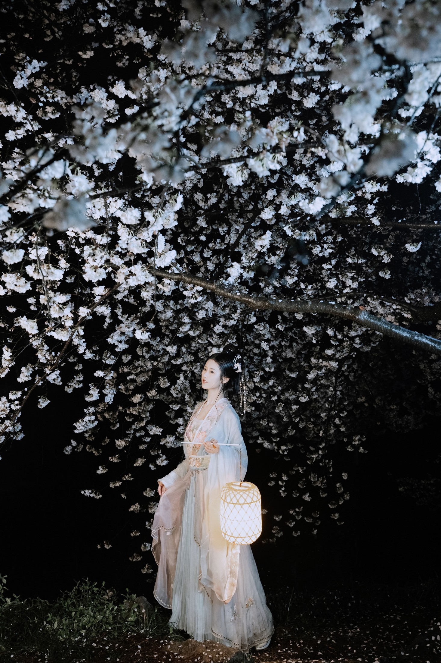 图片[6] - 人间月-素尘 - 《夜雨赏樱》[44P] - 机器猫次元 - 机器猫次元