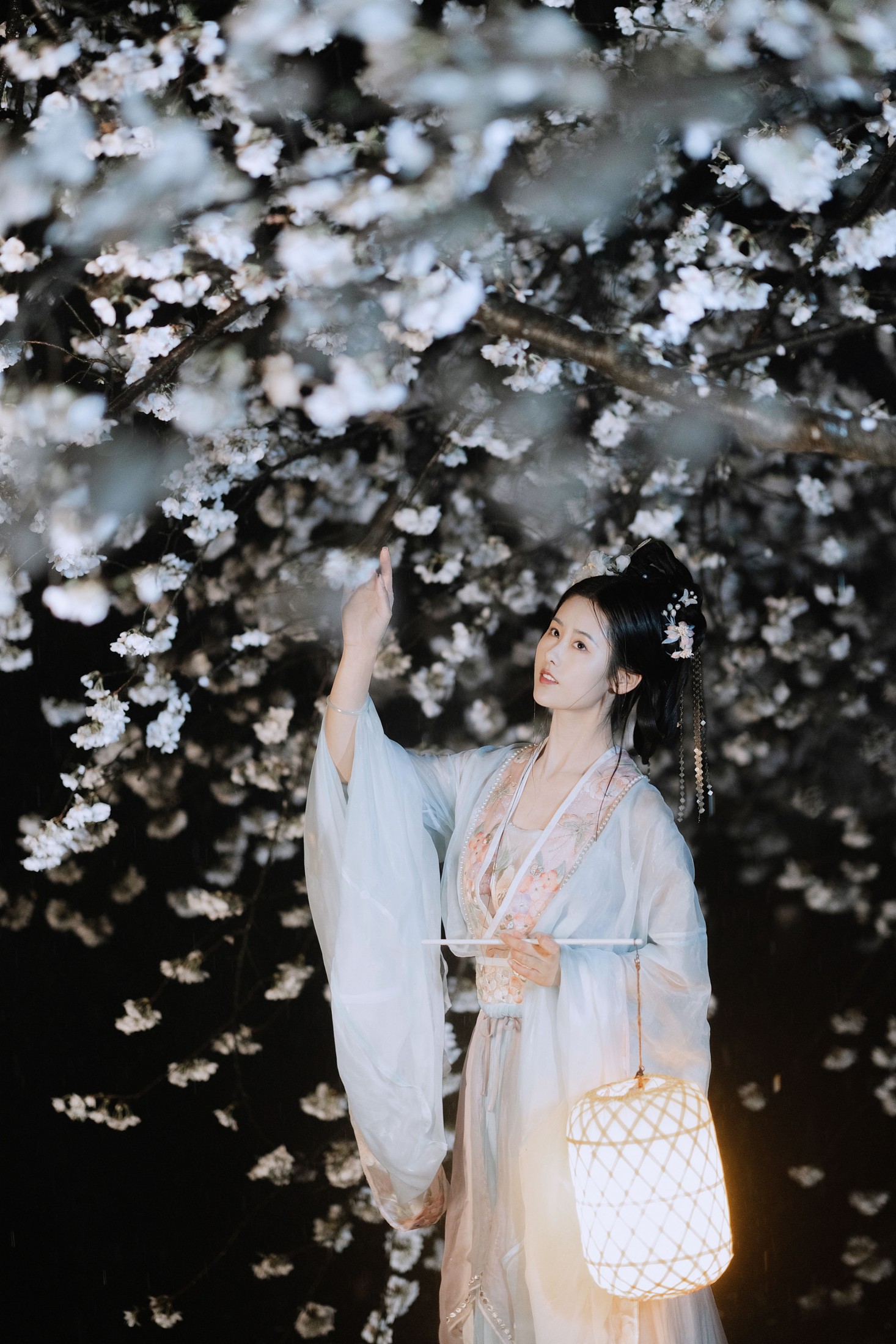 图片[3] - 人间月-素尘 - 《夜雨赏樱》[44P] - 机器猫次元 - 机器猫次元