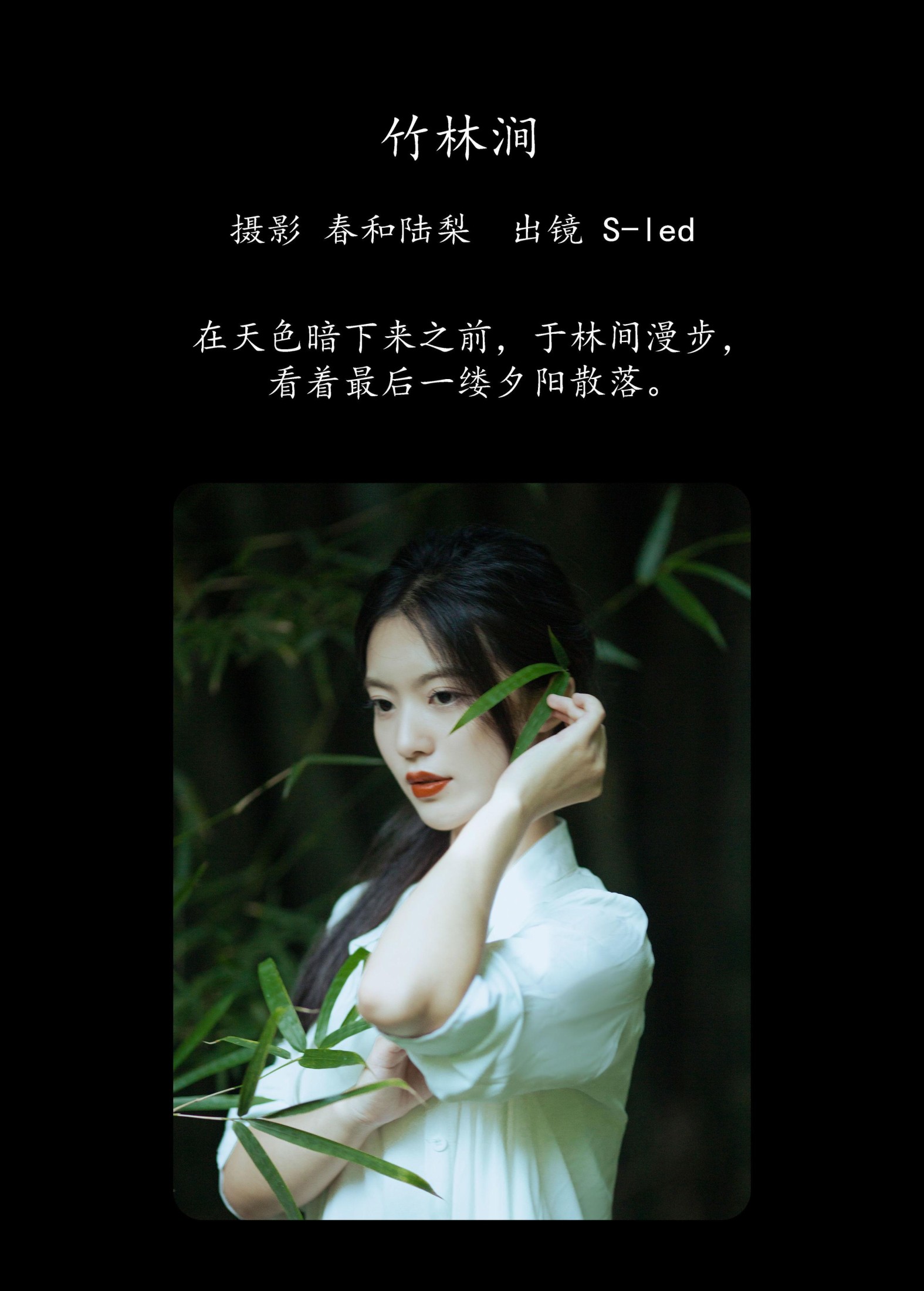 图片[2] - S-led - 《竹林涧》[22P] - 机器猫次元 - 机器猫次元