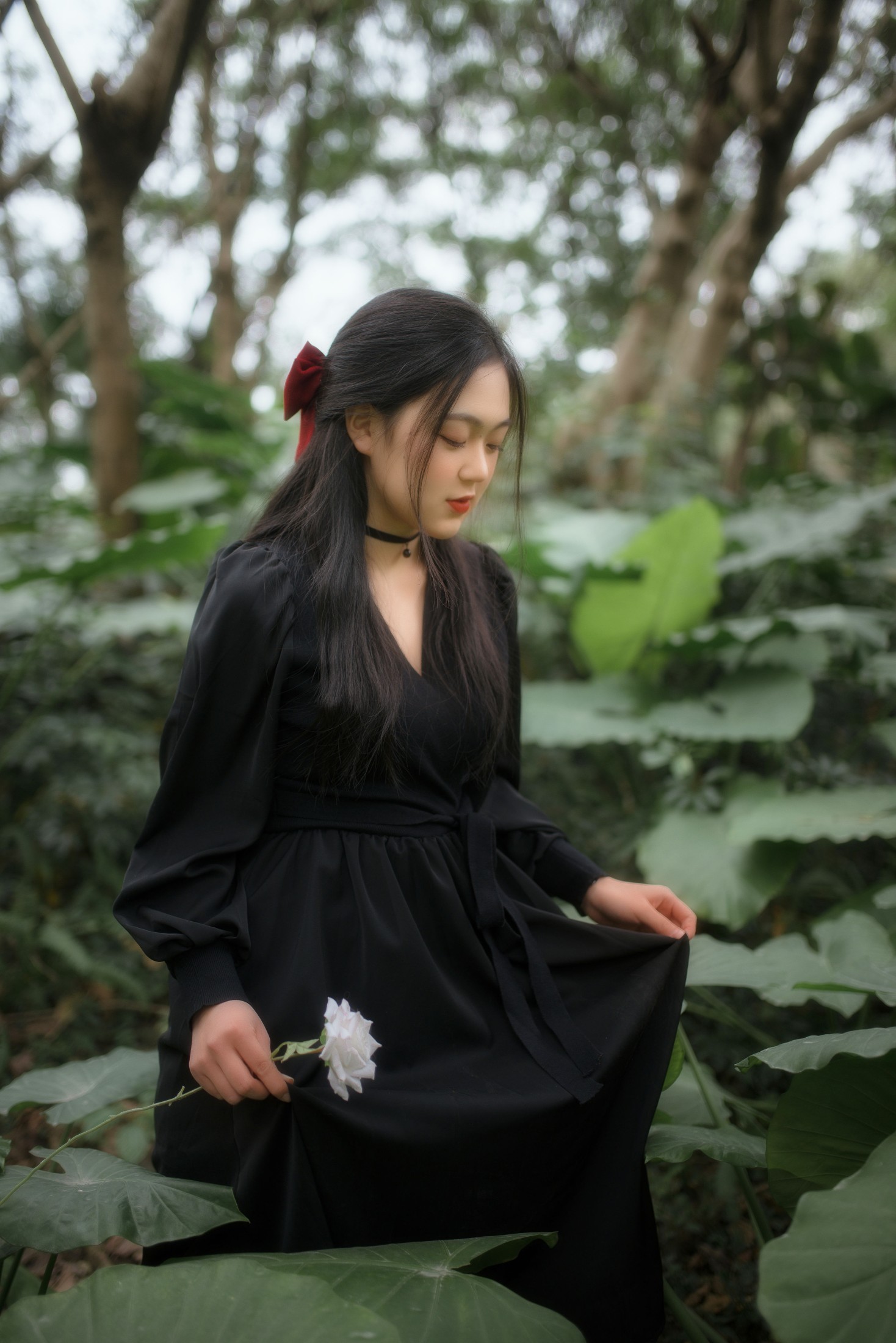 图片[5] - 九黎 - 《一朵永生花》[23P] - 机器猫次元 - 机器猫次元