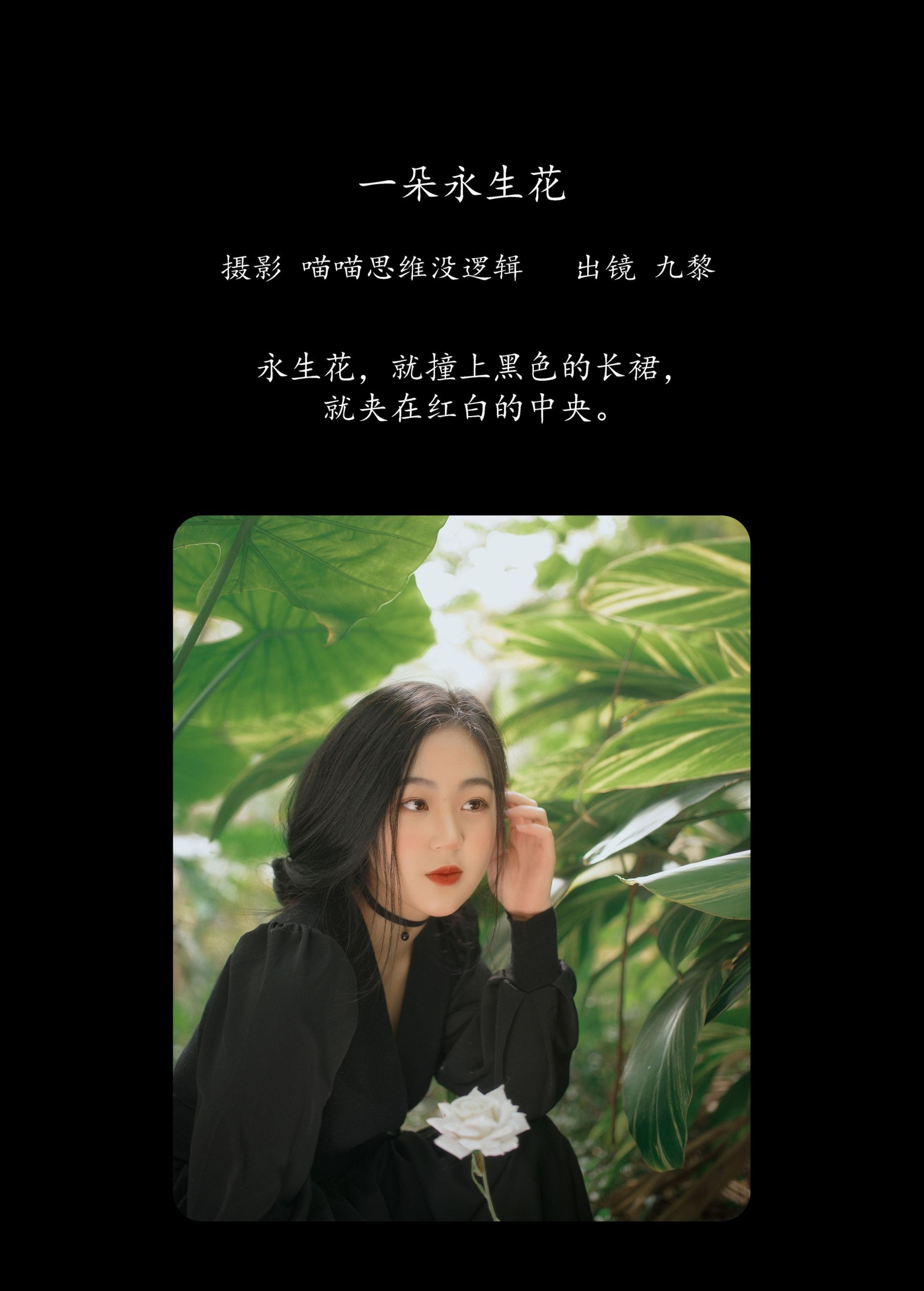 图片[2] - 九黎 - 《一朵永生花》[23P] - 机器猫次元 - 机器猫次元