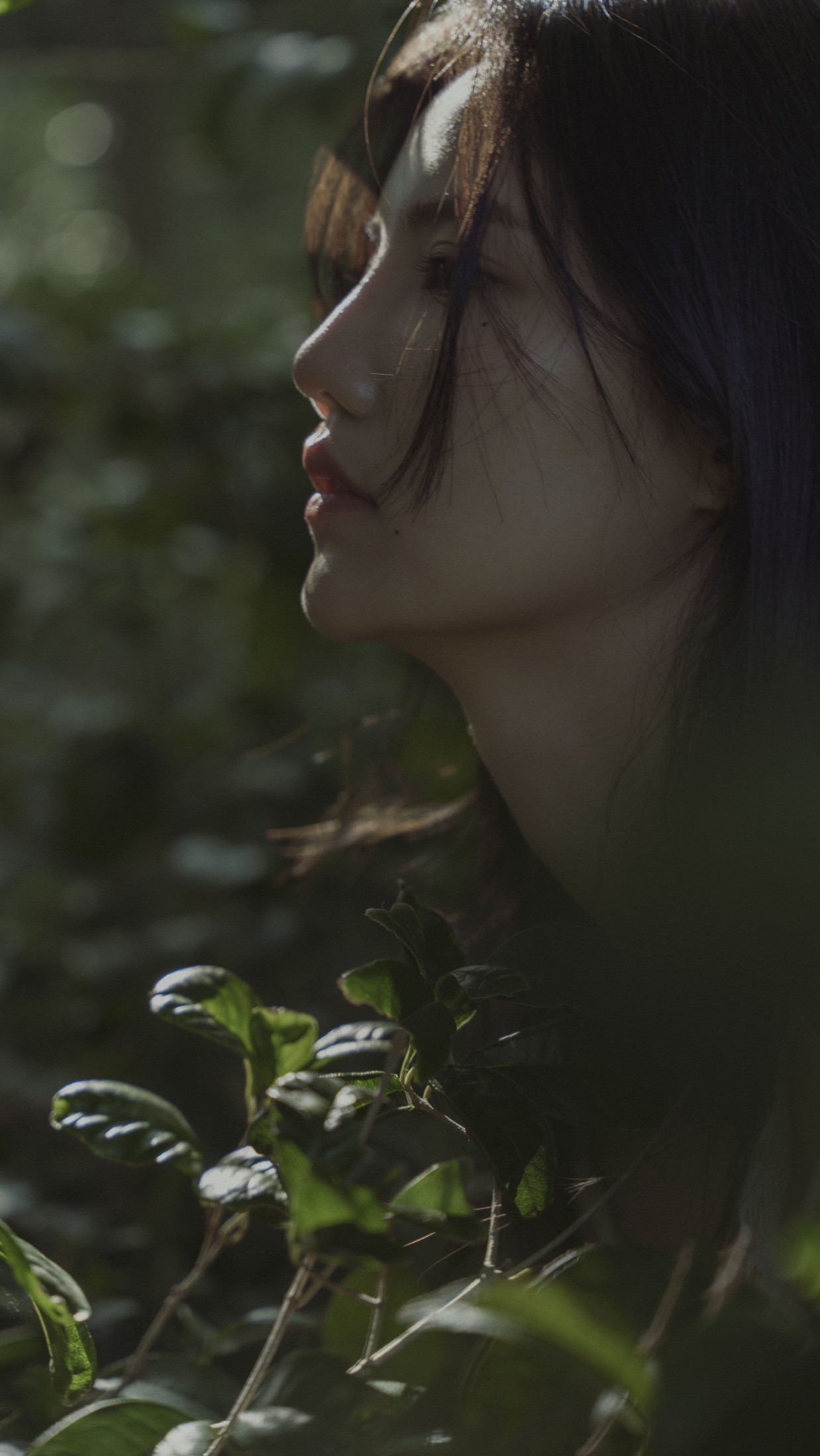 图片[6] - 多米Domy - 《迷宫》[38P] - 机器猫次元 - 机器猫次元