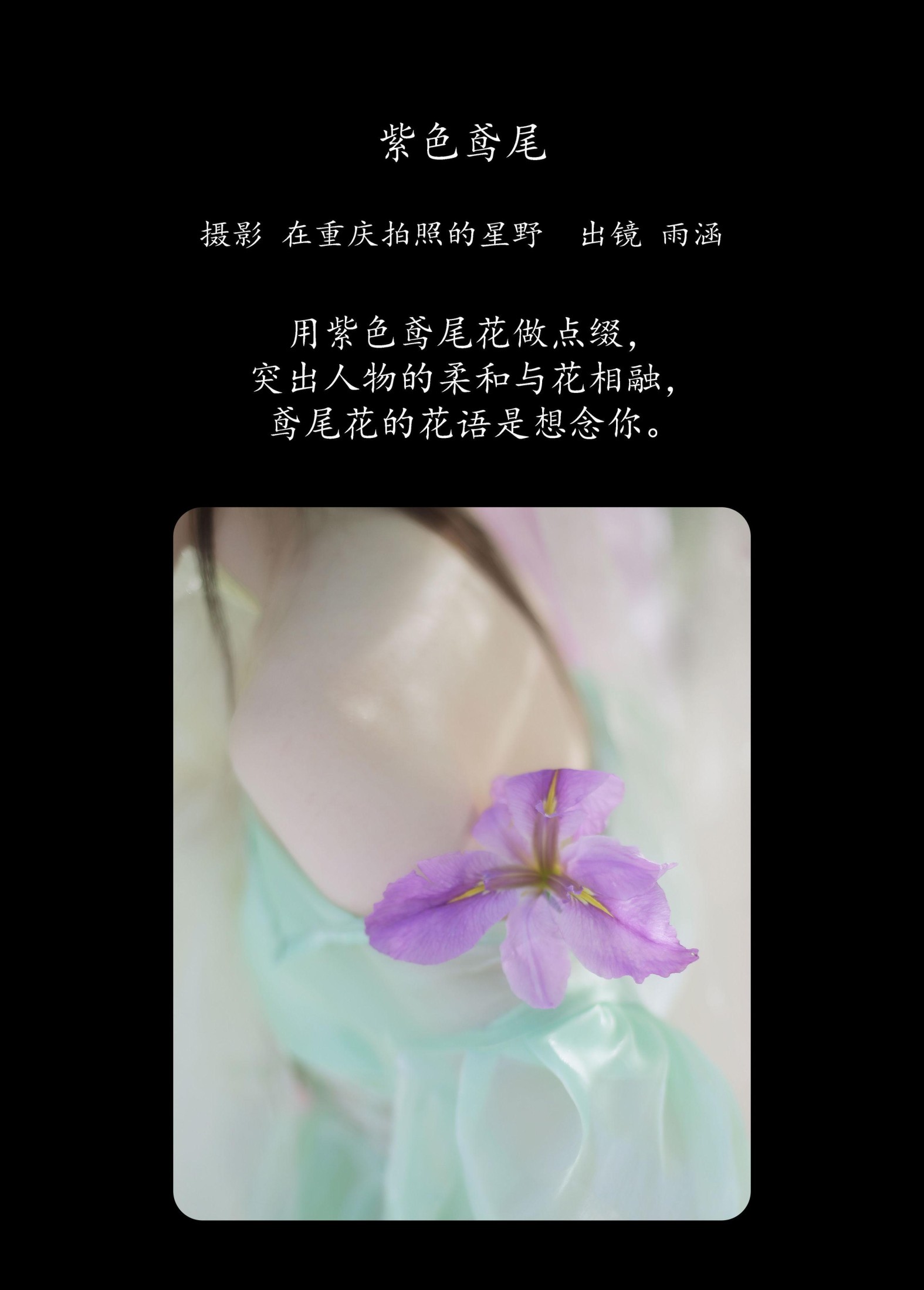 图片[2] - 雨涵 - 《紫色鸢尾》[21P] - 机器猫次元 - 机器猫次元
