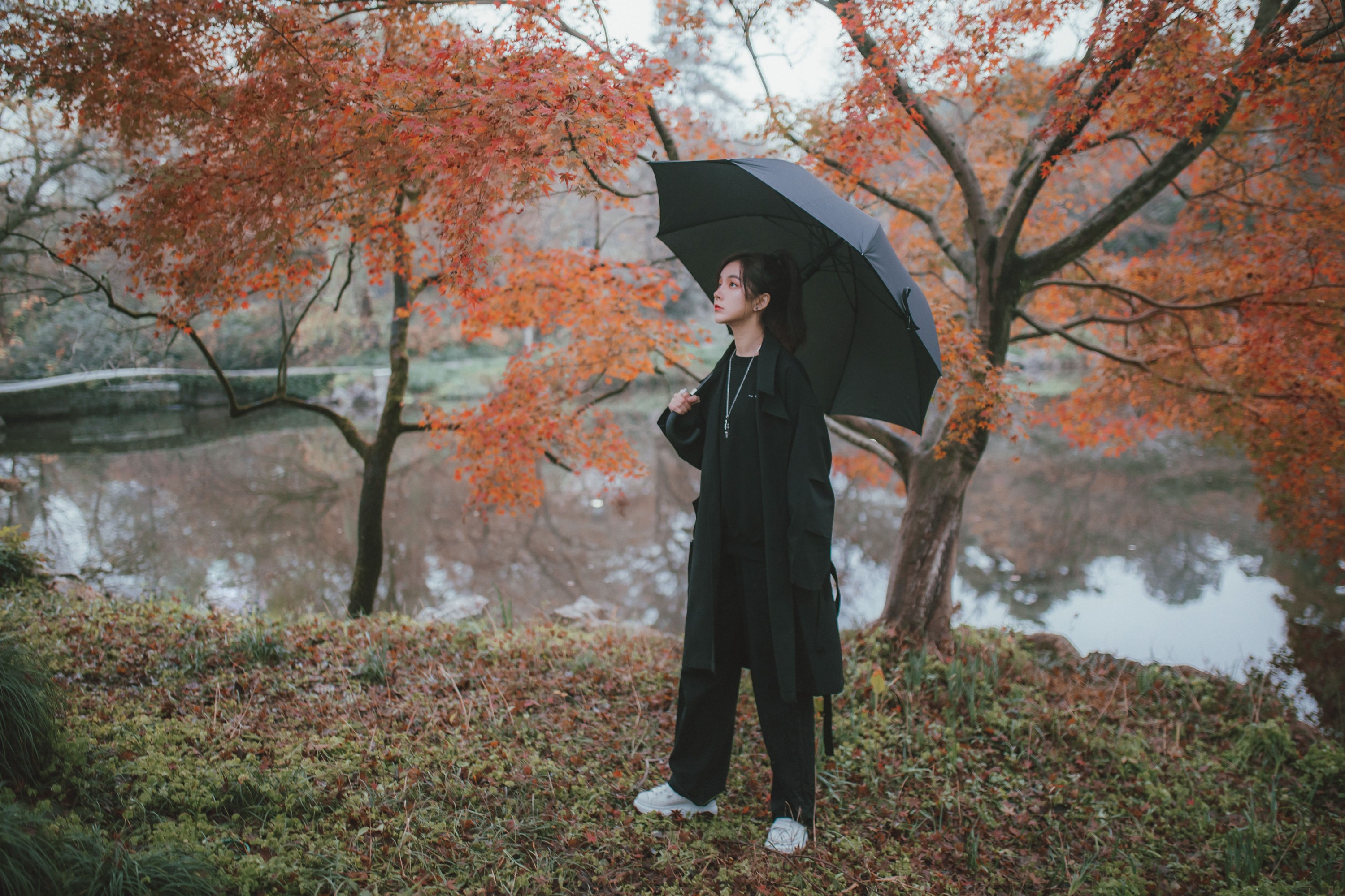 图片[8] - 徐十七嘛 - 《枫》[22P] - 机器猫次元 - 机器猫次元