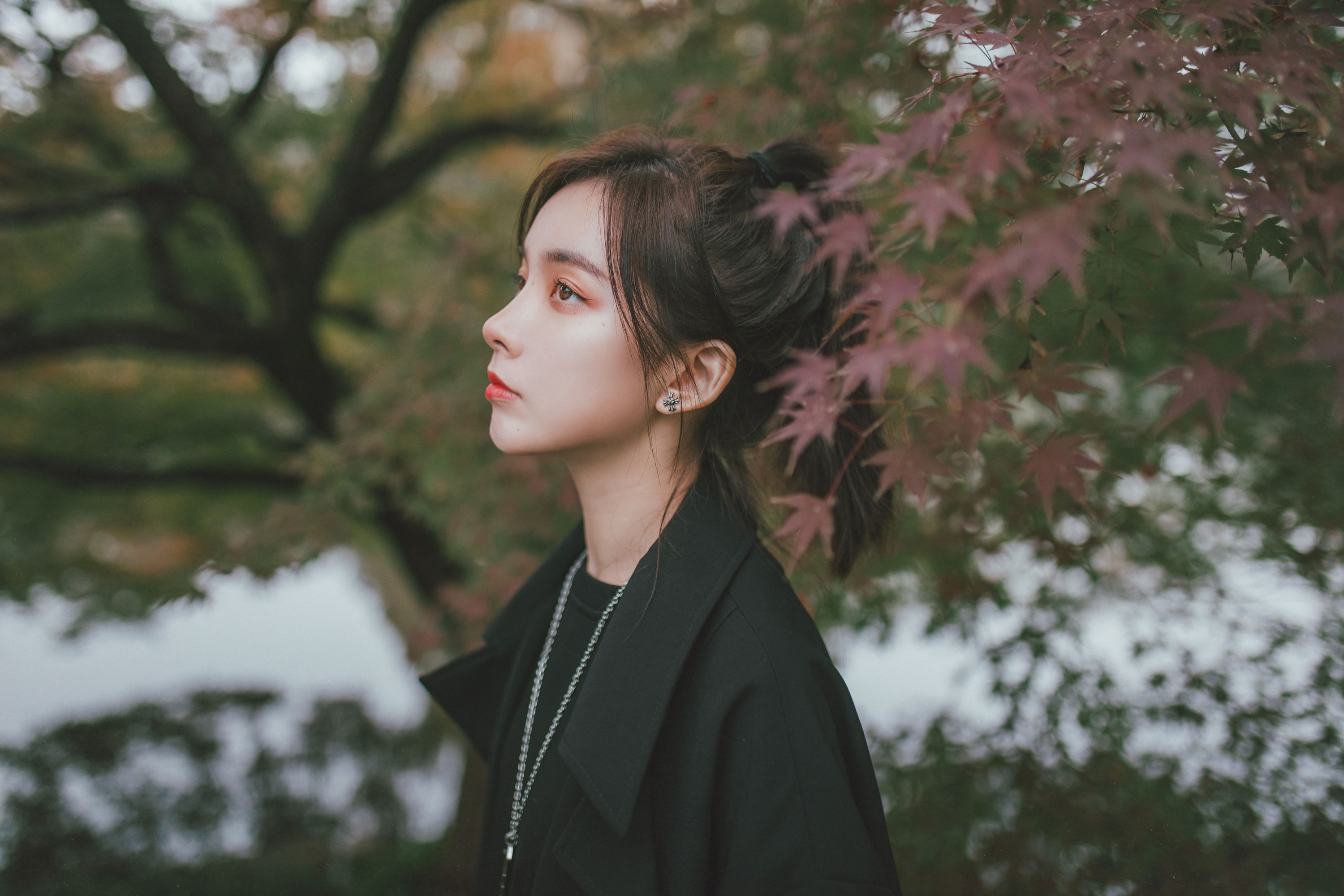 图片[5] - 徐十七嘛 - 《枫》[22P] - 机器猫次元 - 机器猫次元