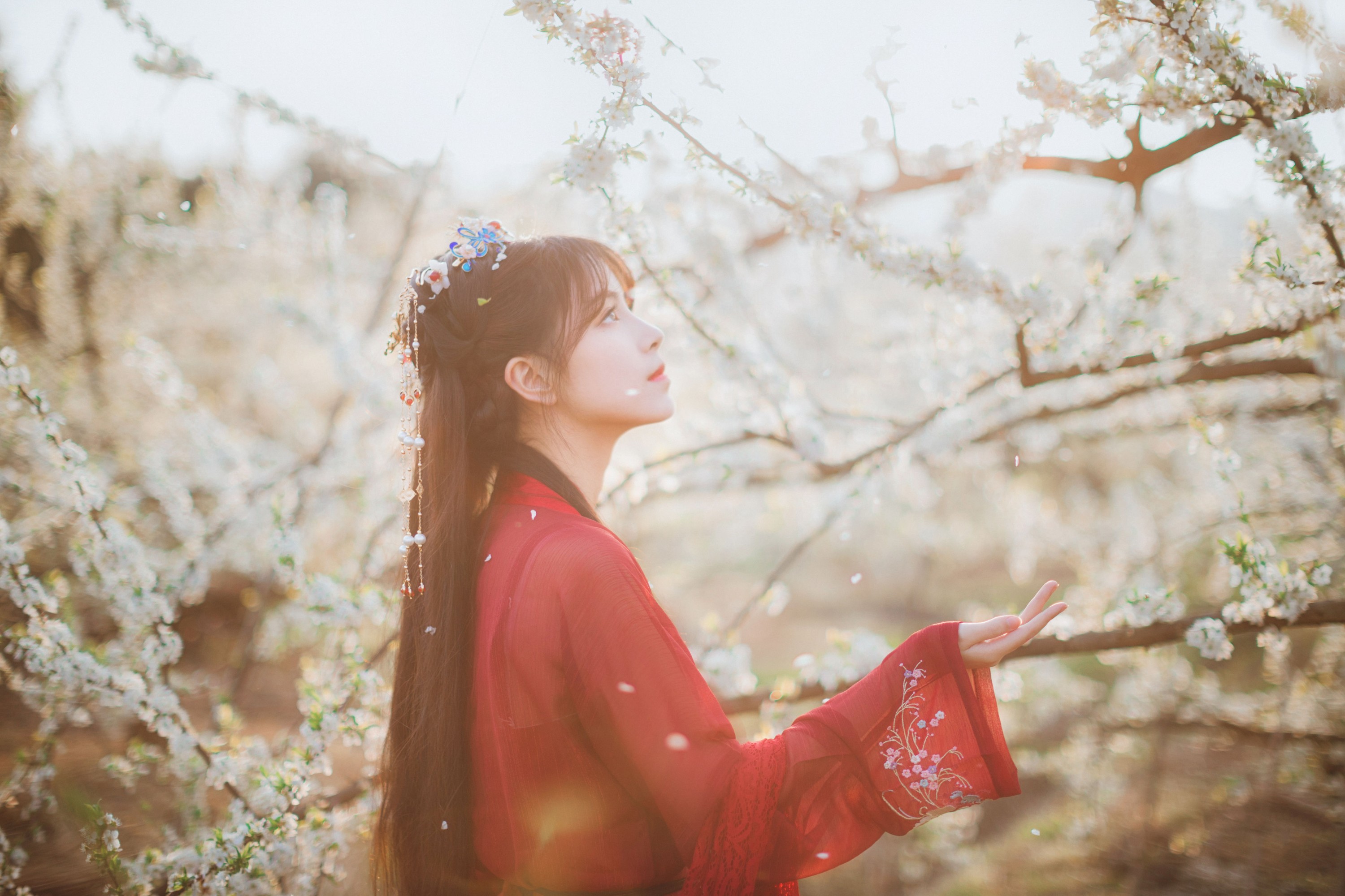 图片[4] - 公子不坏 - 《知花事》[22P] - 机器猫次元 - 机器猫次元