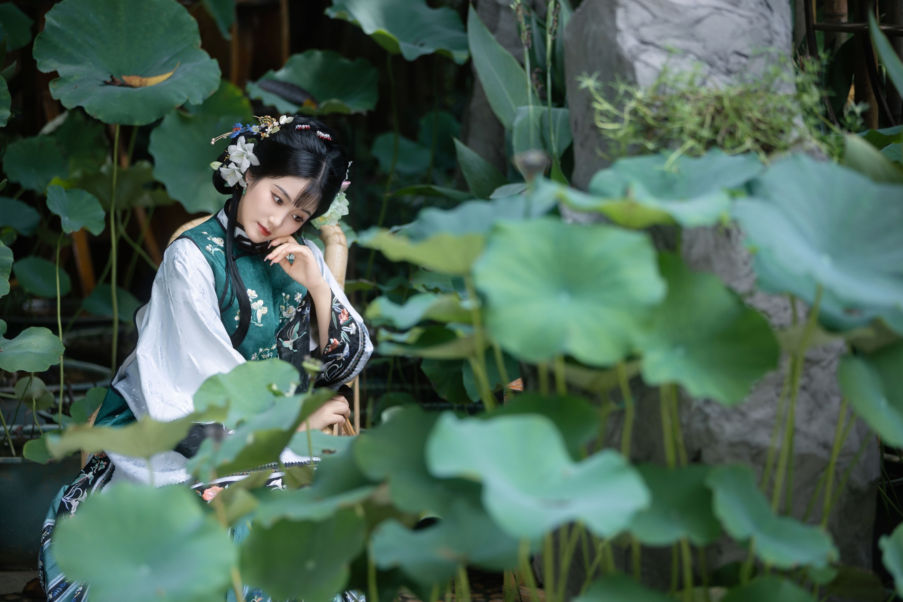 图片[5] - 青青 - 《风举荷》[22P] - 机器猫次元 - 机器猫次元