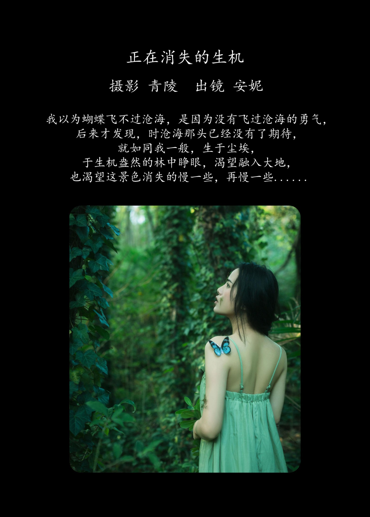 图片[2] - 安妮 - 《正在消失的生机》[29P] - 机器猫次元 - 机器猫次元