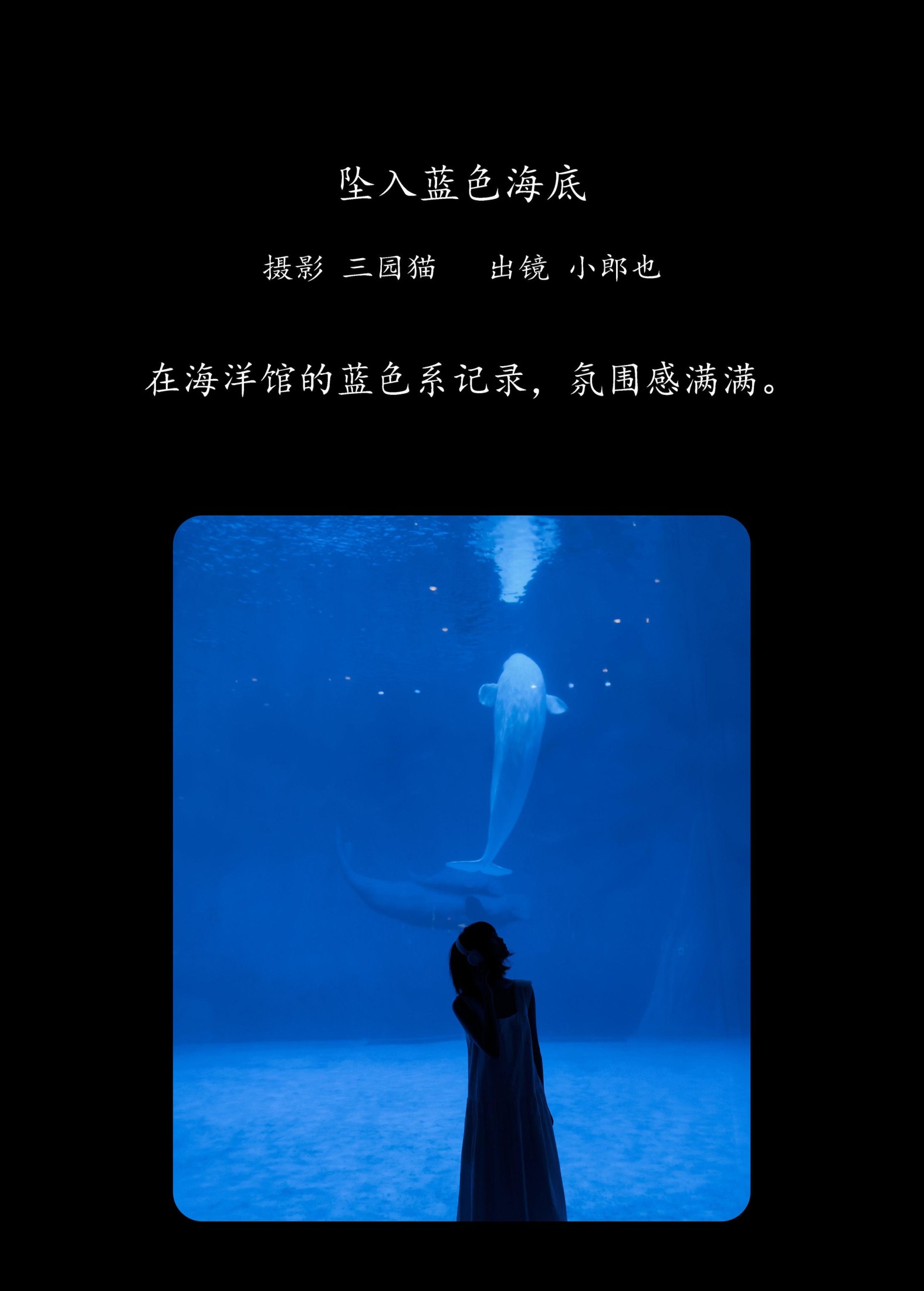 图片[2] - 小郎也 - 《坠入蓝色海底》[26P] - 机器猫次元 - 机器猫次元