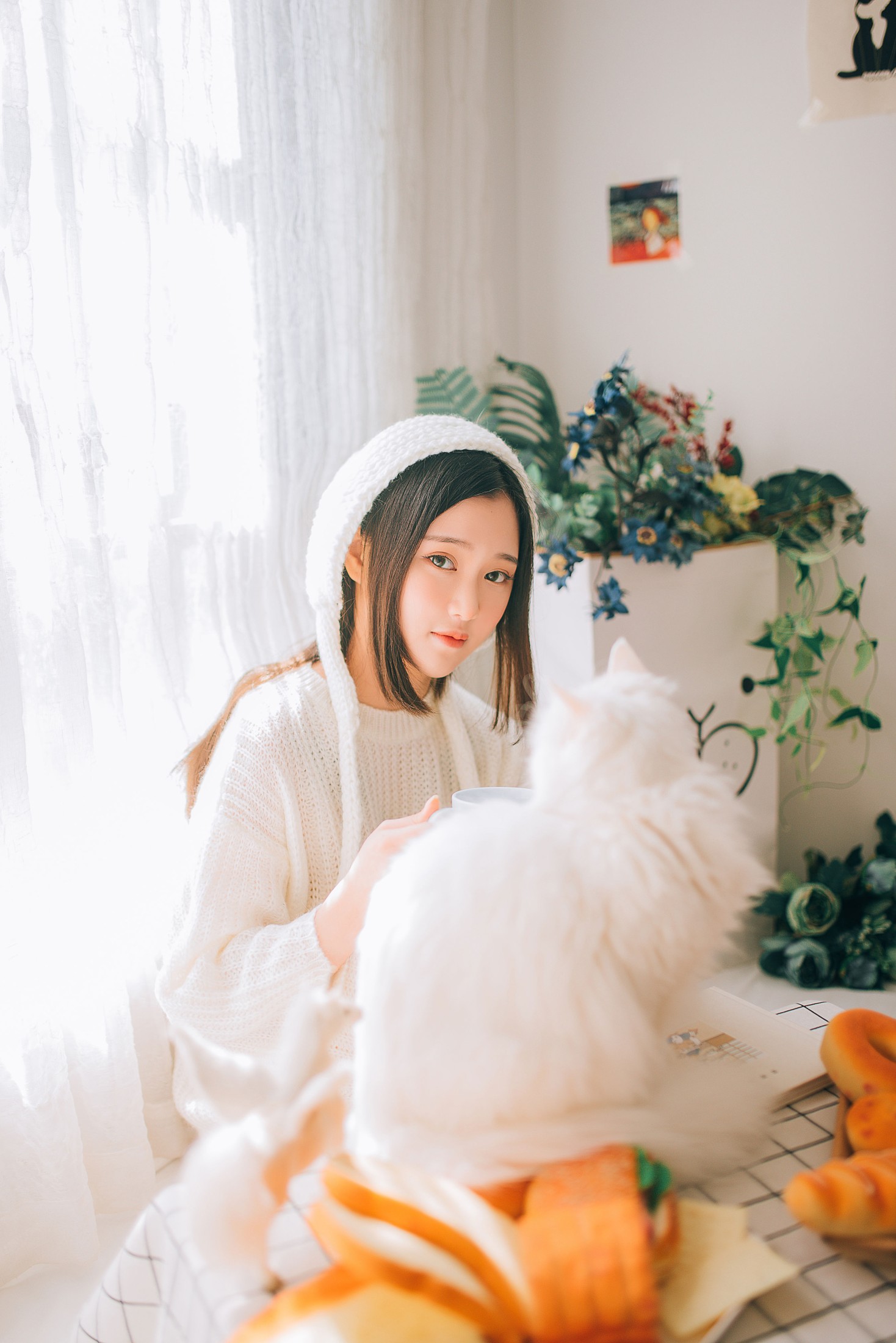 图片[3] - 格格 - 《阳光温暖，小猫温柔》[29P] - 机器猫次元 - 机器猫次元
