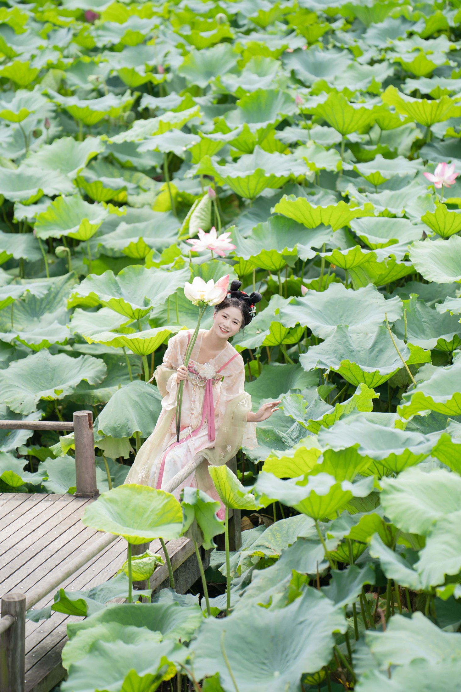 图片[7] - 橙子舒 - 《夏日限定荷花少女》[22P] - 机器猫次元 - 机器猫次元