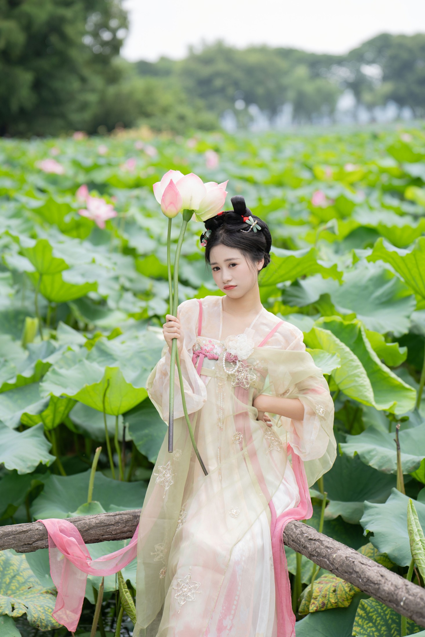 图片[8] - 橙子舒 - 《夏日限定荷花少女》[22P] - 机器猫次元 - 机器猫次元
