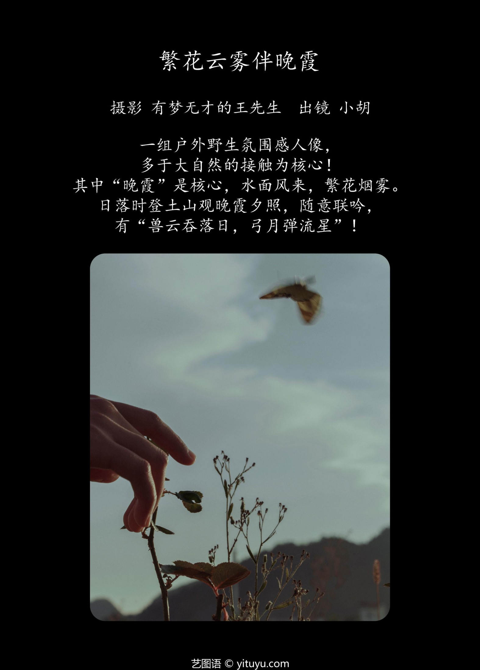 图片[2] - 小胡 - 《繁花云雾伴晚霞》[23P] - 机器猫次元 - 机器猫次元