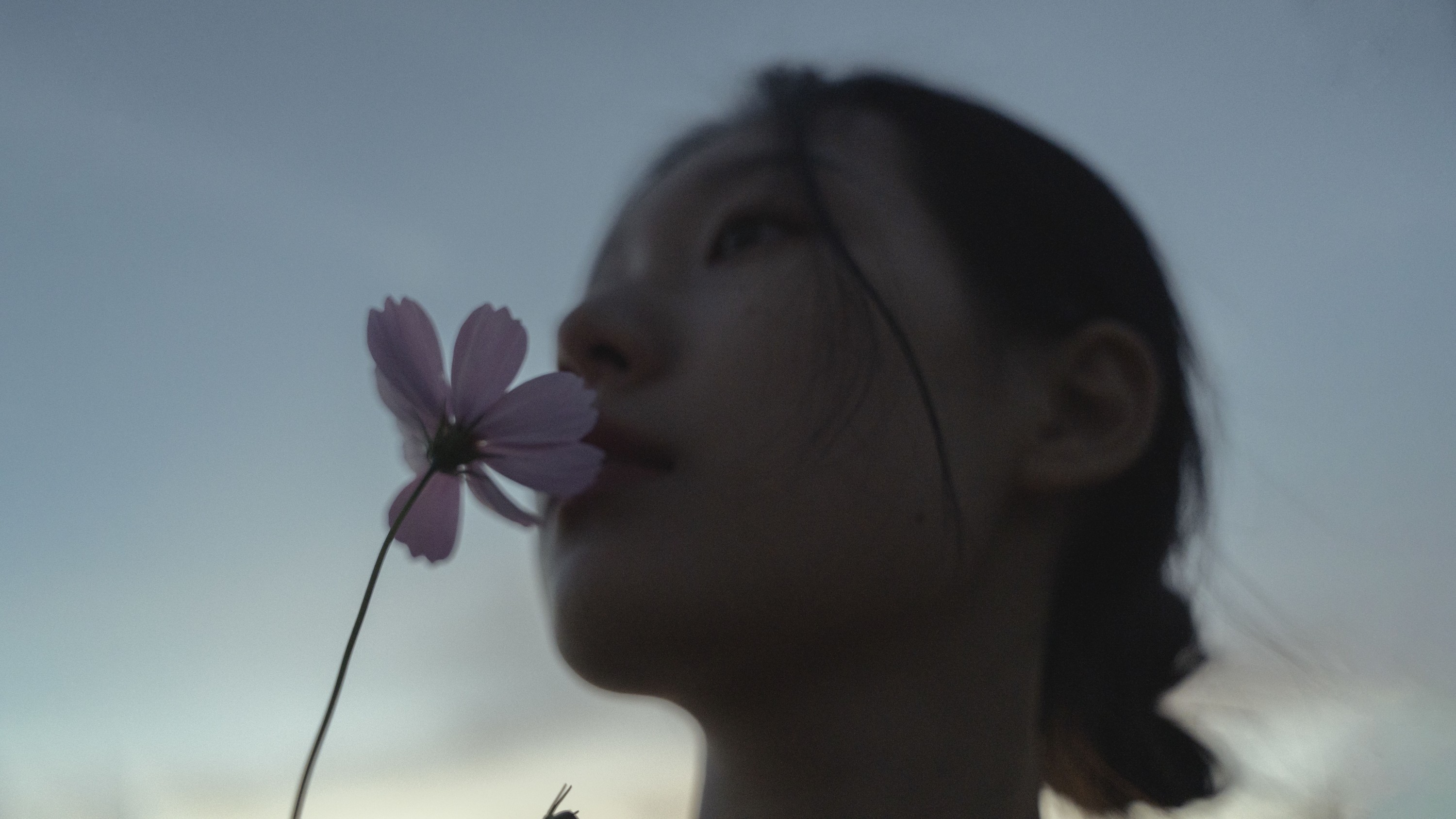 图片[8] - 小胡 - 《繁花云雾伴晚霞》[23P] - 机器猫次元 - 机器猫次元