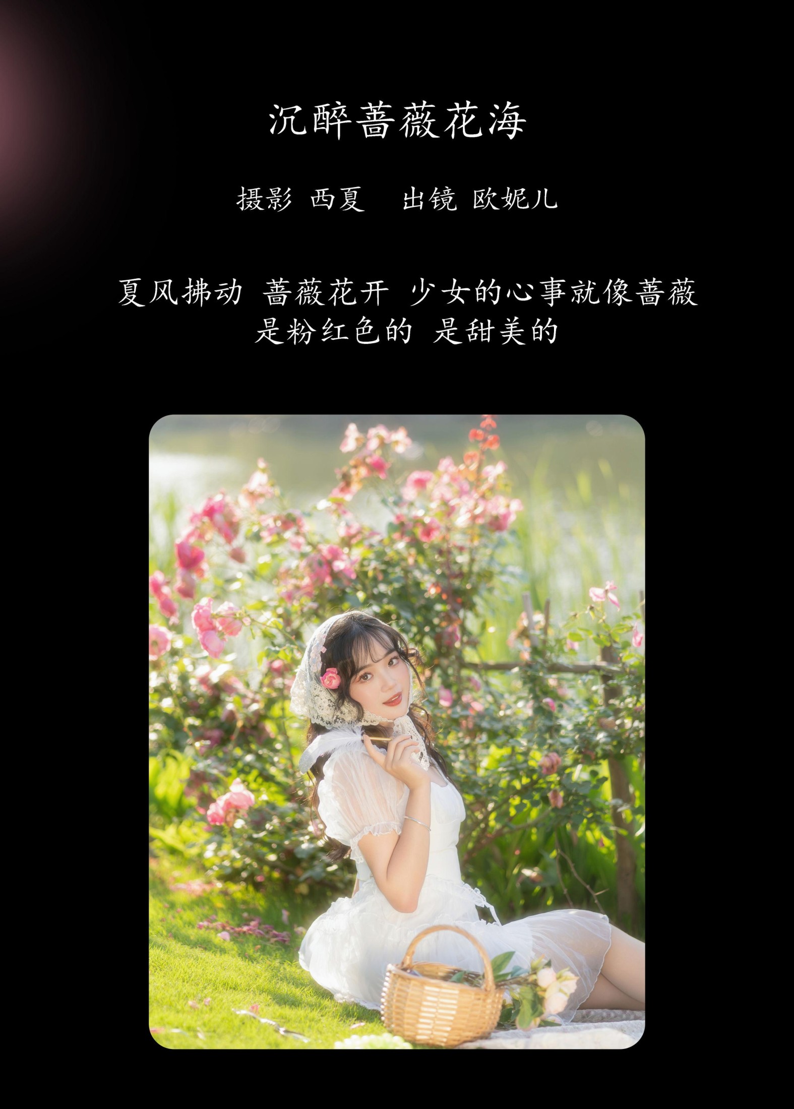 图片[2] - 小欧O - 《沉醉蔷薇花海》[24P] - 机器猫次元 - 机器猫次元