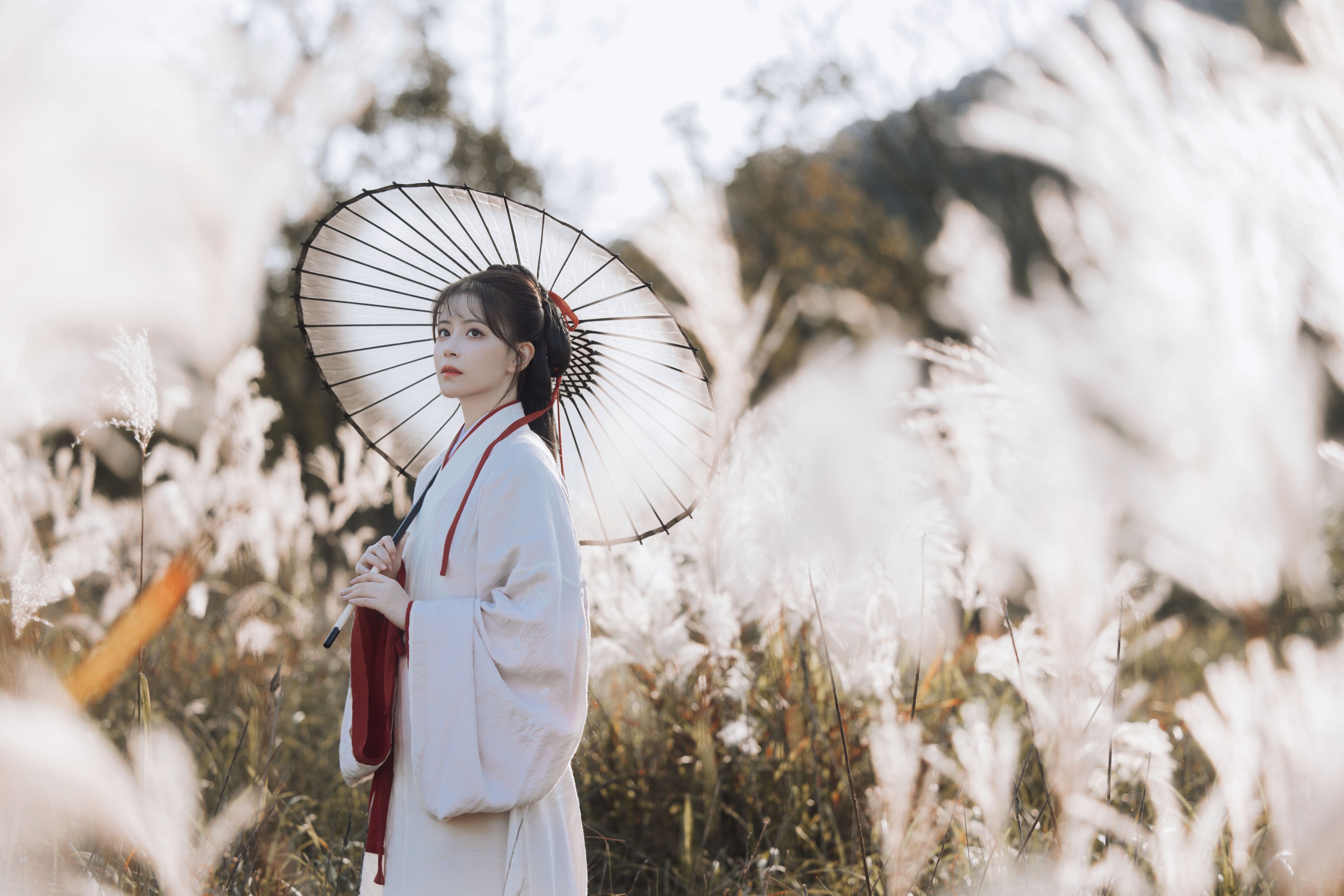 图片[6] - 公子不坏 - 《蒹葭苍苍》[22P] - 机器猫次元 - 机器猫次元