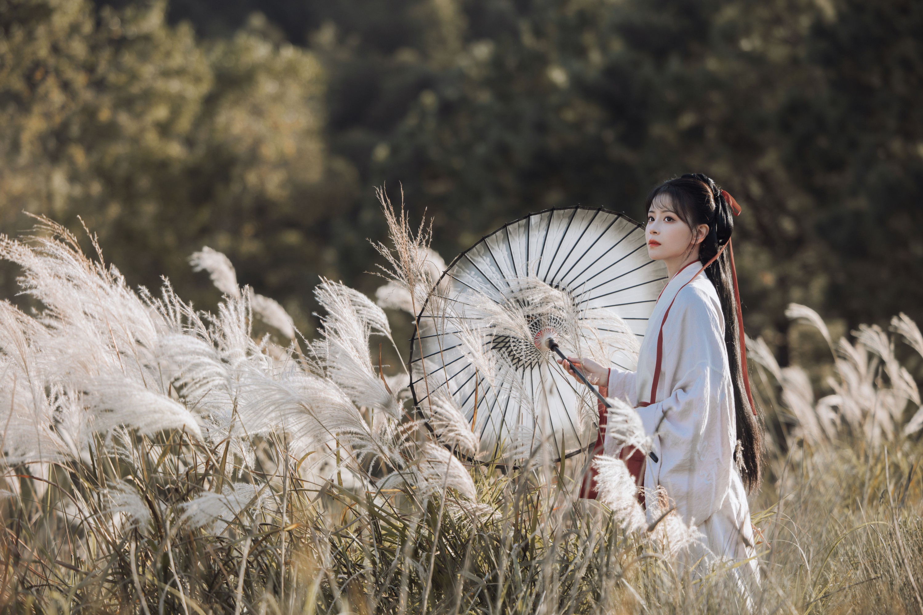 图片[5] - 公子不坏 - 《蒹葭苍苍》[22P] - 机器猫次元 - 机器猫次元