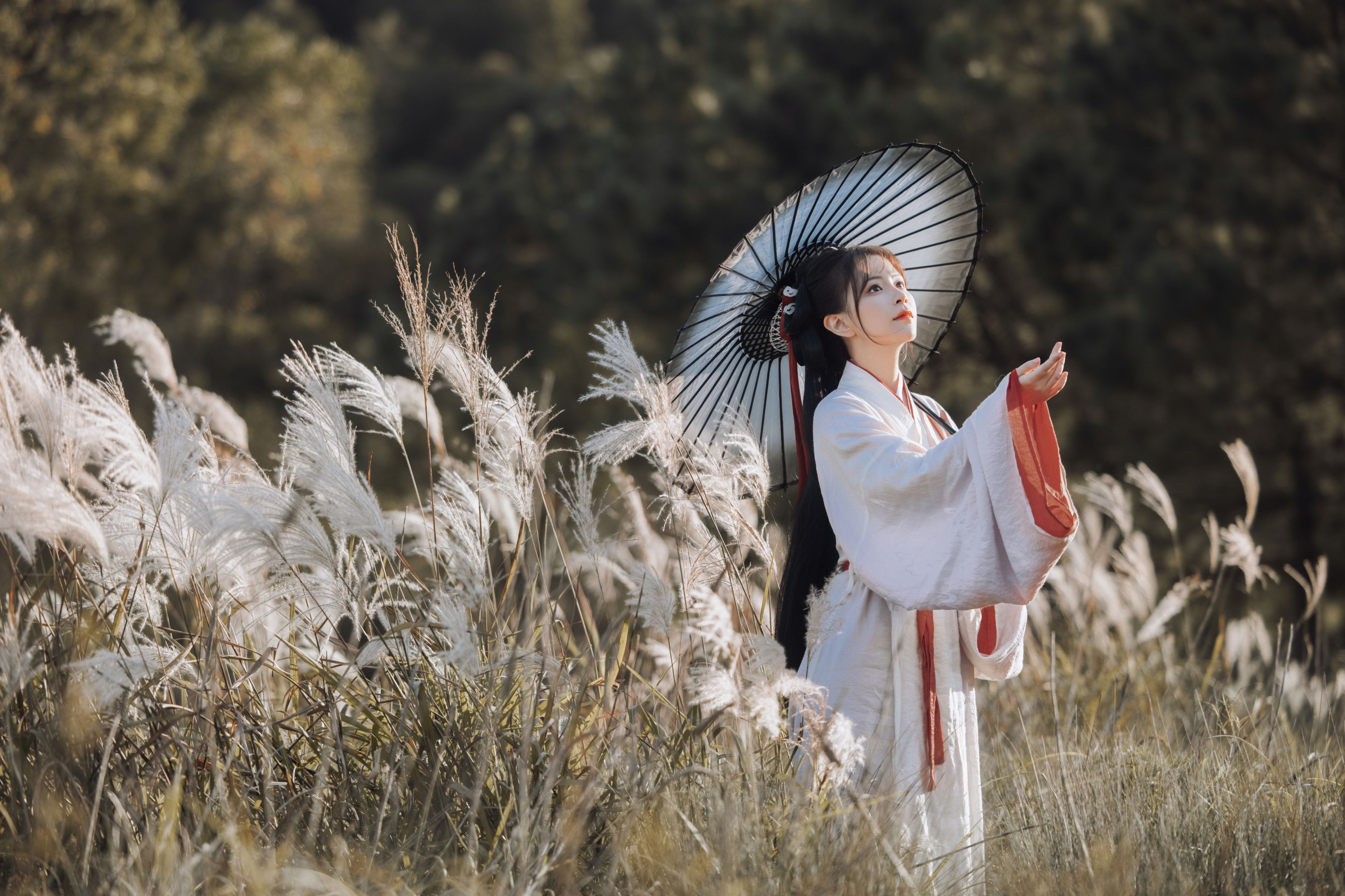 图片[4] - 公子不坏 - 《蒹葭苍苍》[22P] - 机器猫次元 - 机器猫次元