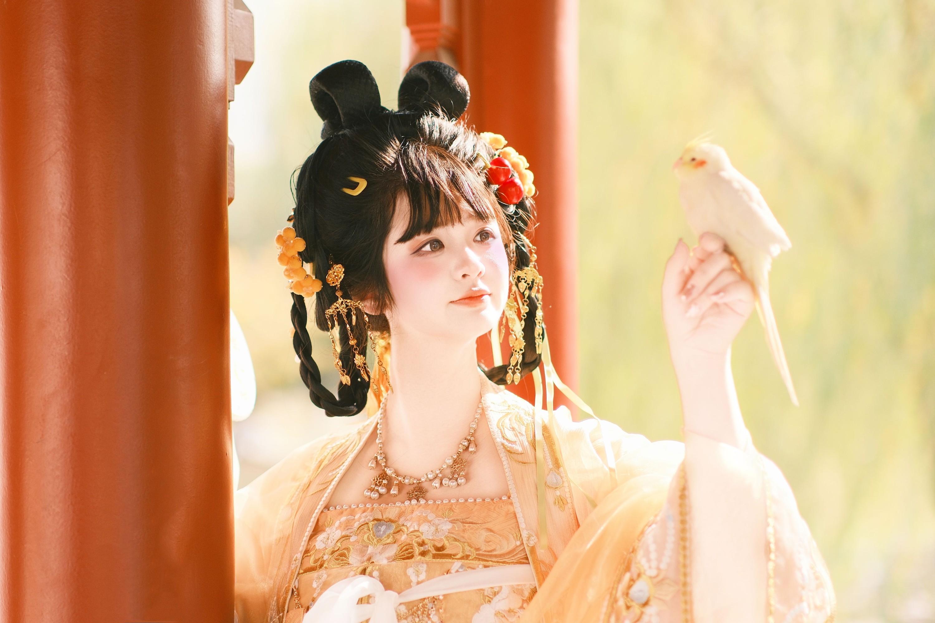 图片[4] - 不可爱的禾禾喵 - 《金雀》[29P] - 机器猫次元 - 机器猫次元