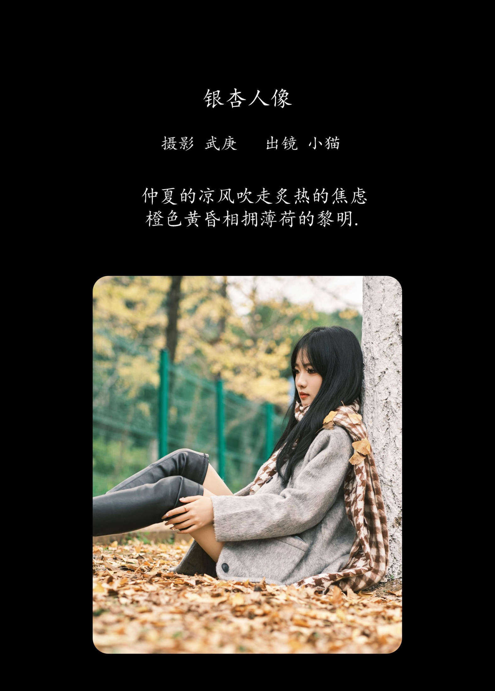 图片[2] - 小猫 - 《银杏人像》[25P] - 机器猫次元 - 机器猫次元