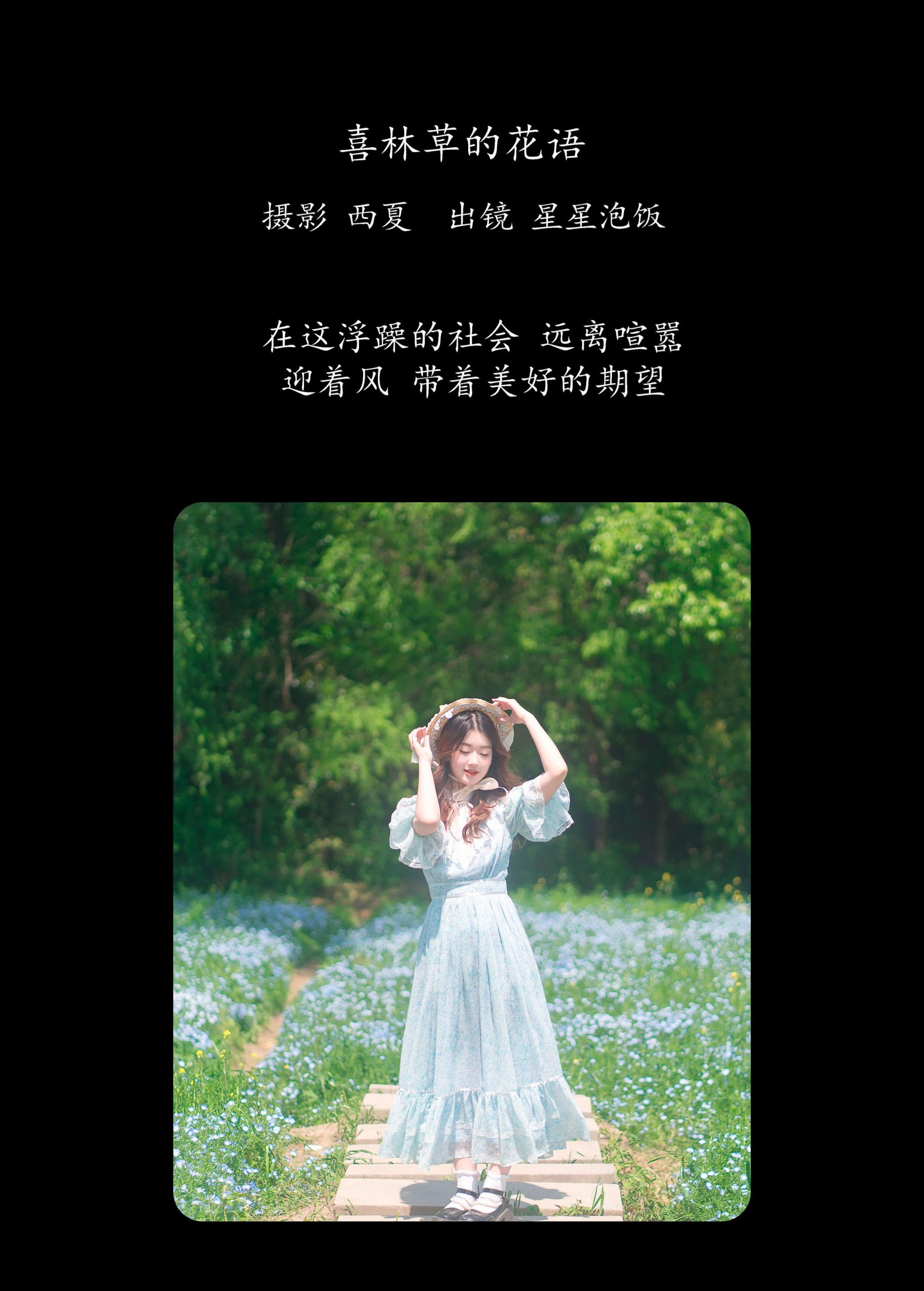 图片[2] - 星星泡饭 - 《喜林草的花语》[24P] - 机器猫次元 - 机器猫次元