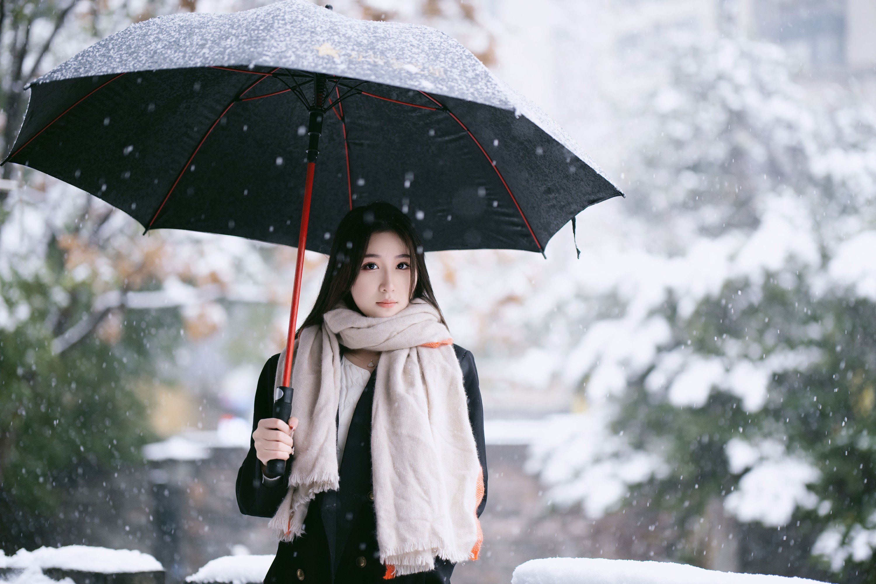 图片[7] - 潘木木 - 《雪中独舞的花》[28P] - 机器猫次元 - 机器猫次元