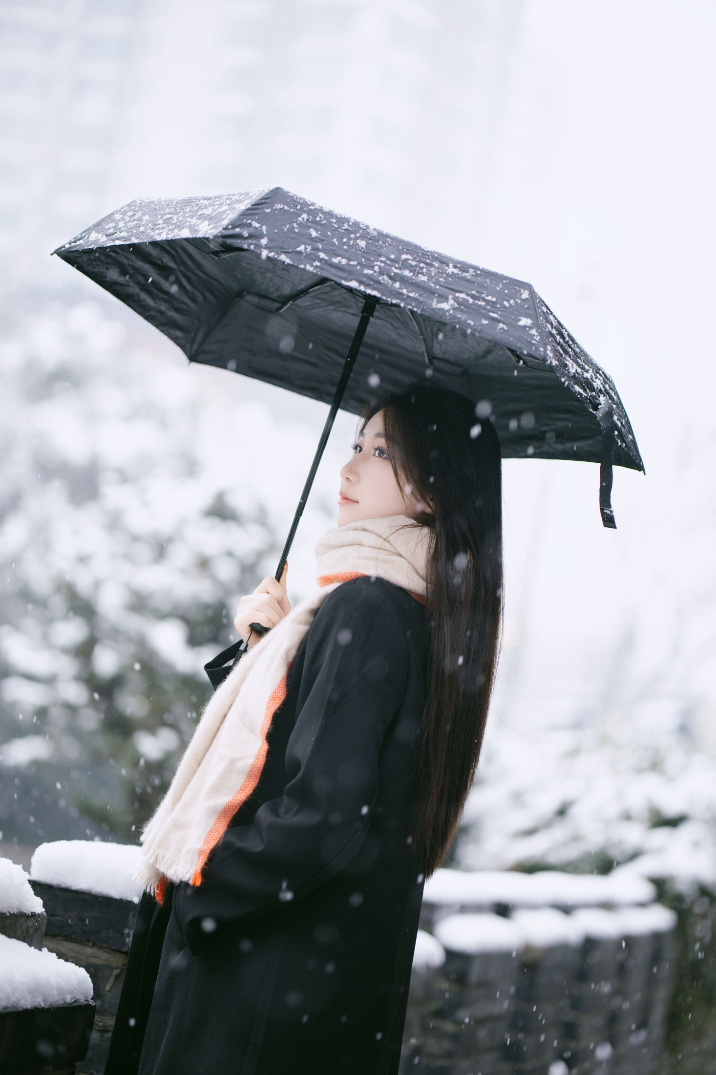 图片[4] - 潘木木 - 《雪中独舞的花》[28P] - 机器猫次元 - 机器猫次元