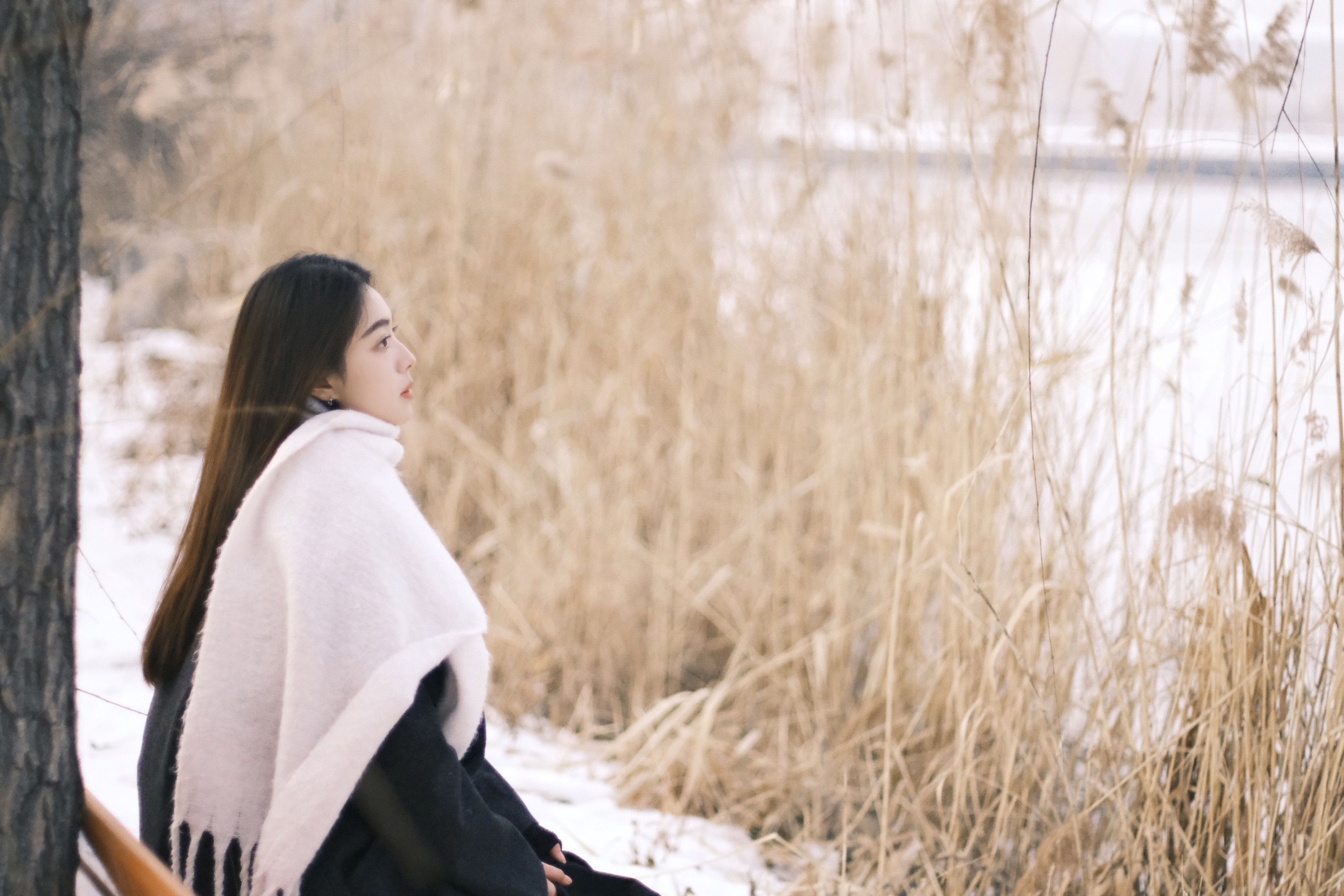 图片[3] - anieituj - 《雪天情书》[21P] - 机器猫次元 - 机器猫次元