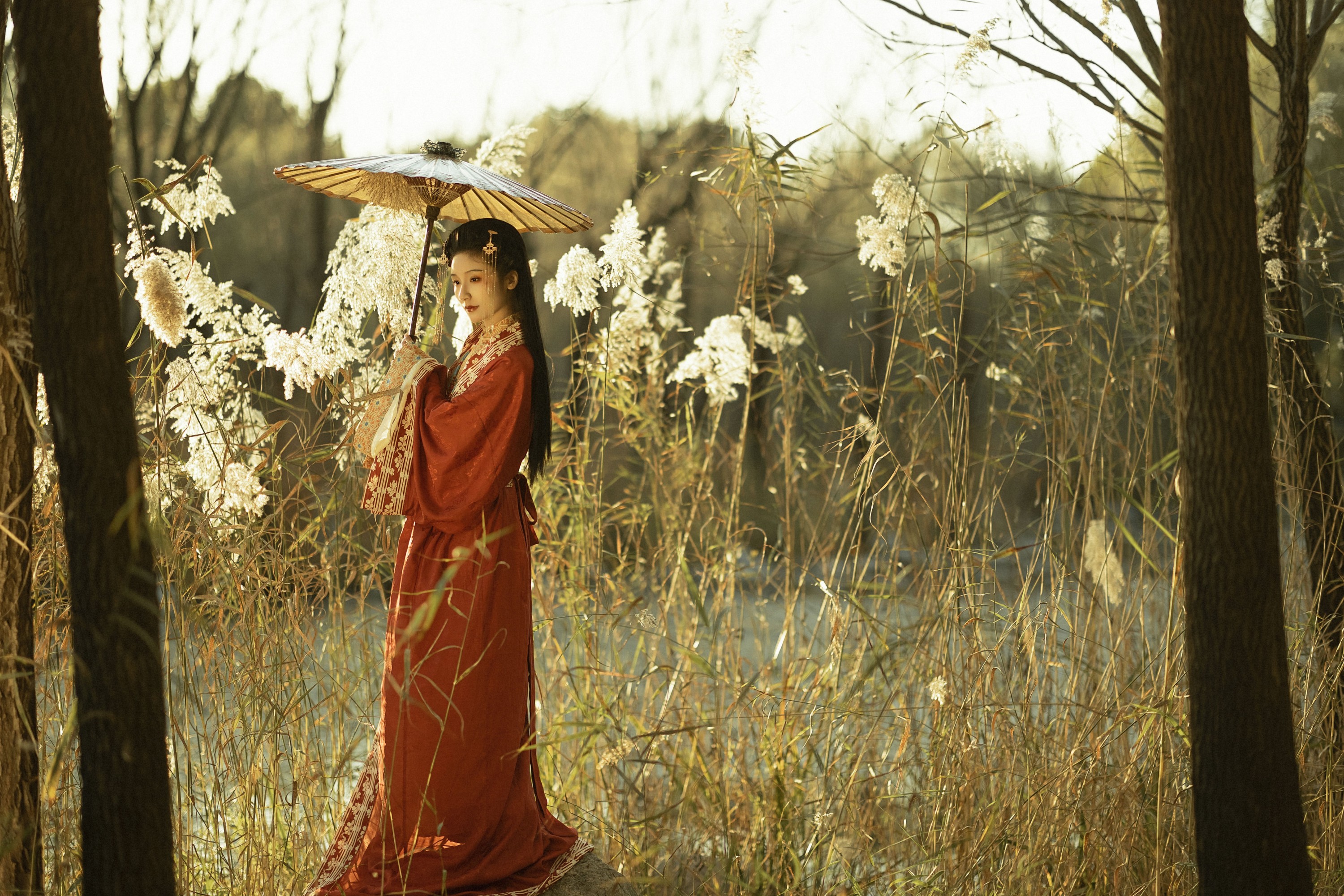 图片[4] - 之于浅灯 - 《蒹葭苍苍》[20P] - 机器猫次元 - 机器猫次元